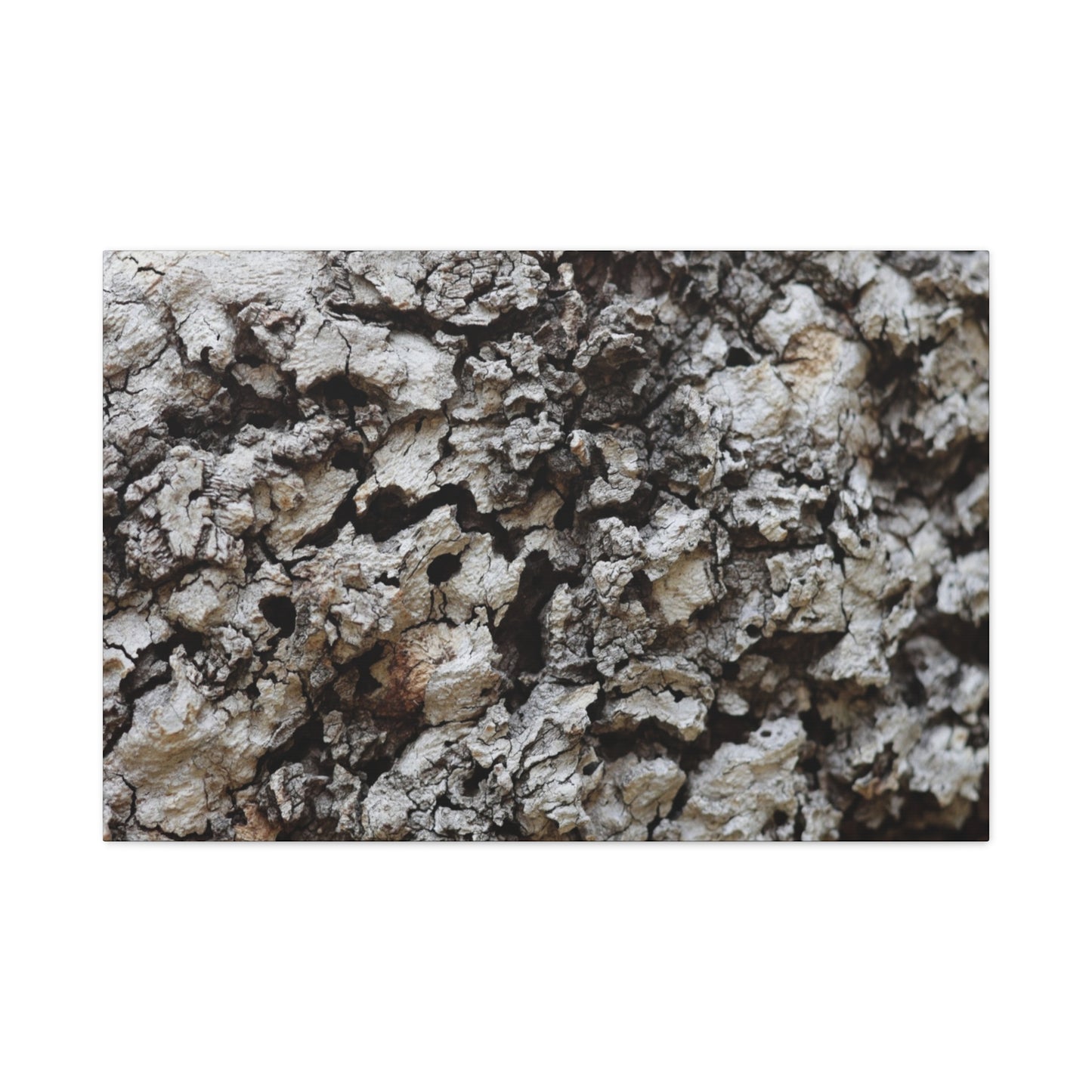 Cracked Earth Tapestry - Unique Frameless Canvas Wall Art