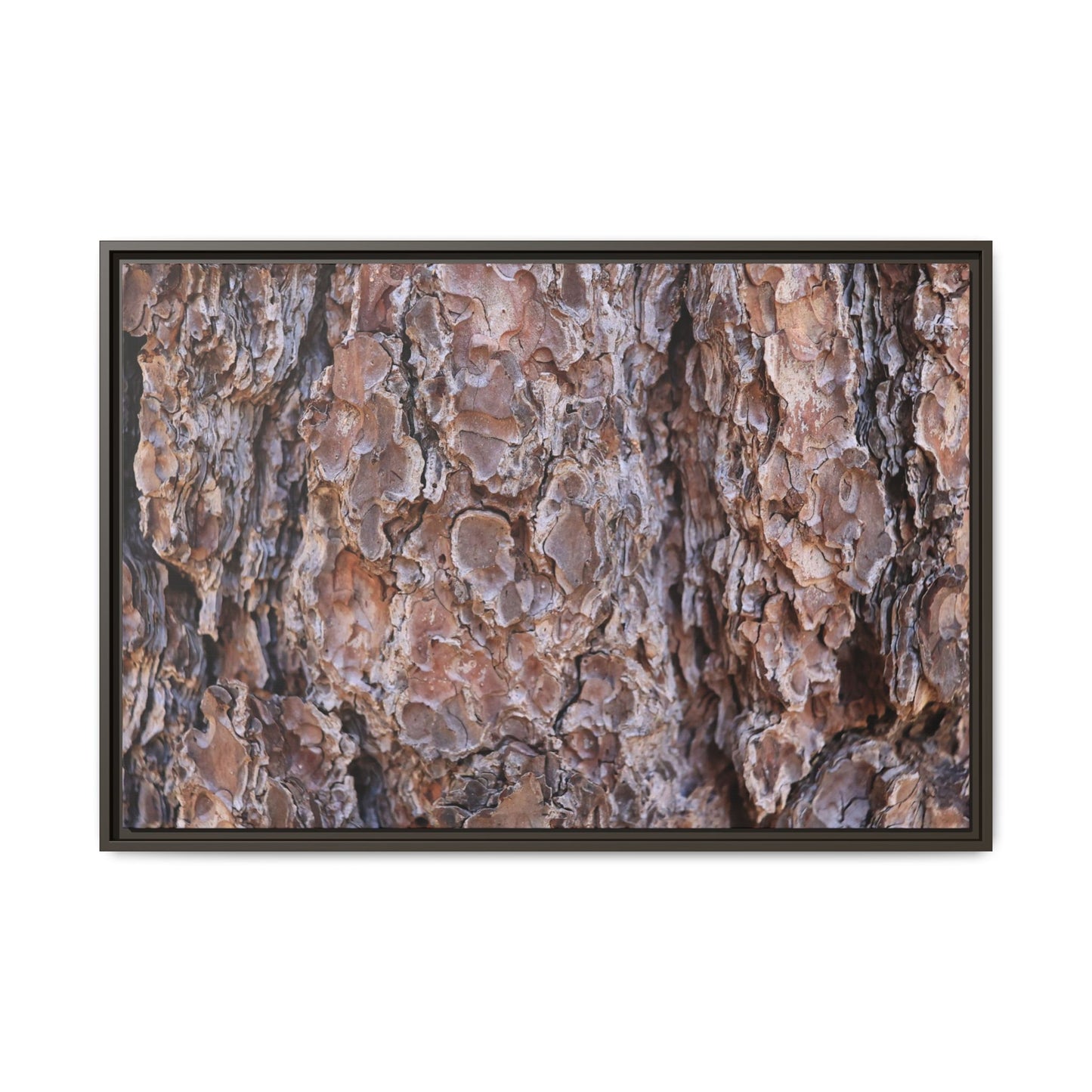 Woody Layers - Unique Stretched Canvas Wall Art