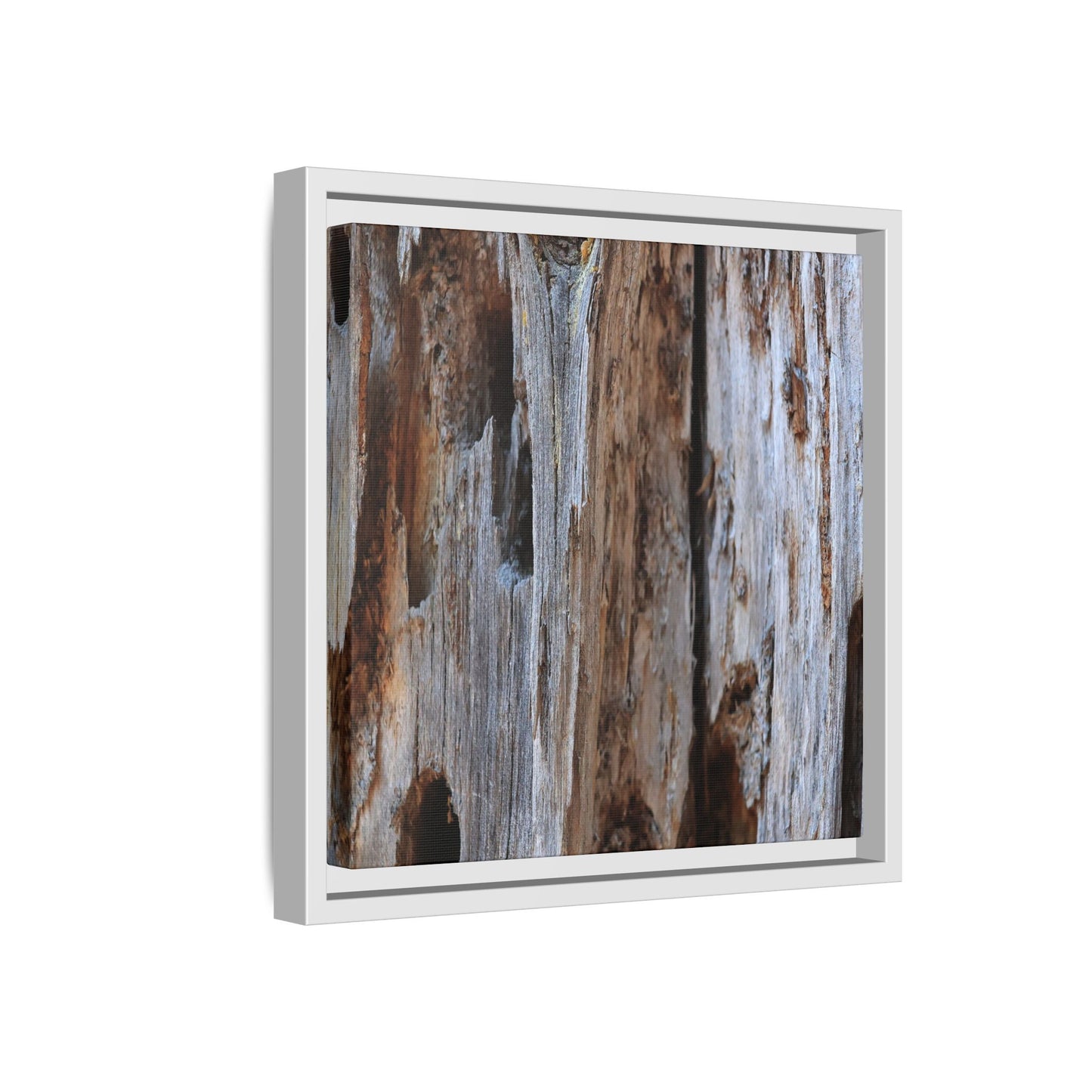 Decaying Splendor - Unique Stretched Canvas Wall Art