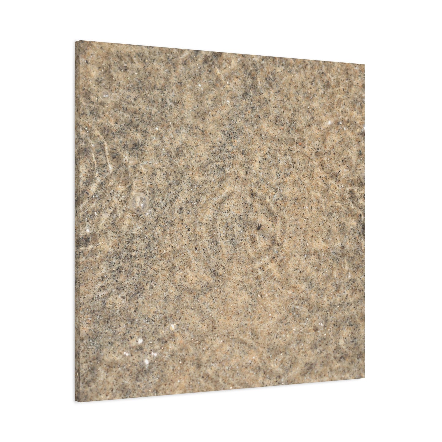 Desert Memory - Unique Frameless Canvas Wall Art