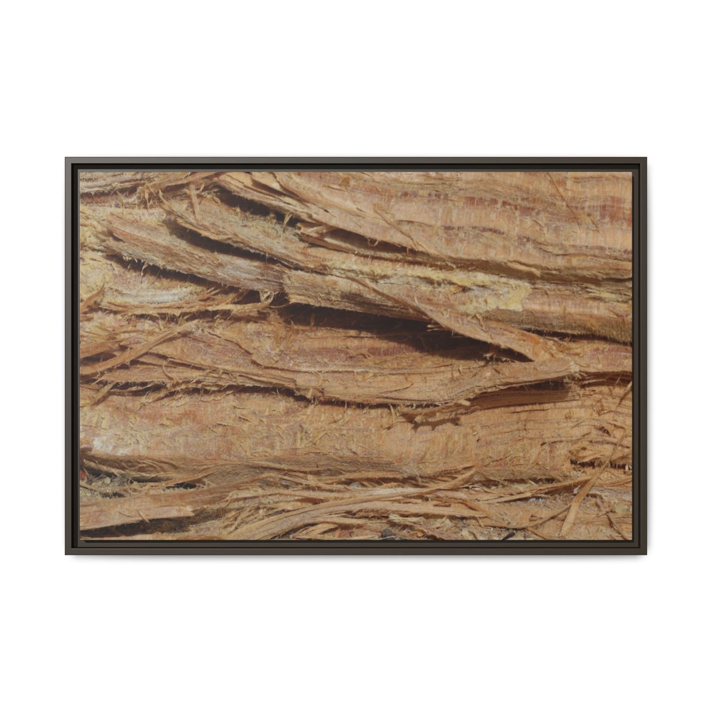 Splintered Bark - Unique Stretched Canvas Wall Art