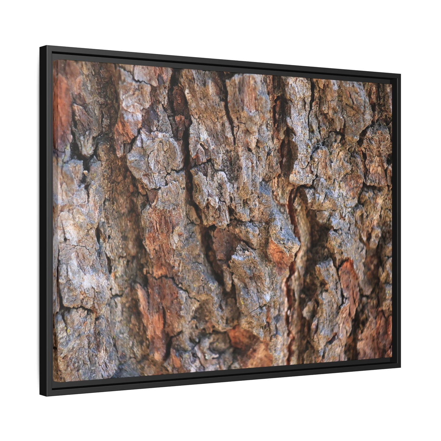 Craggy Textures - Unique Stretched Canvas Wall Art