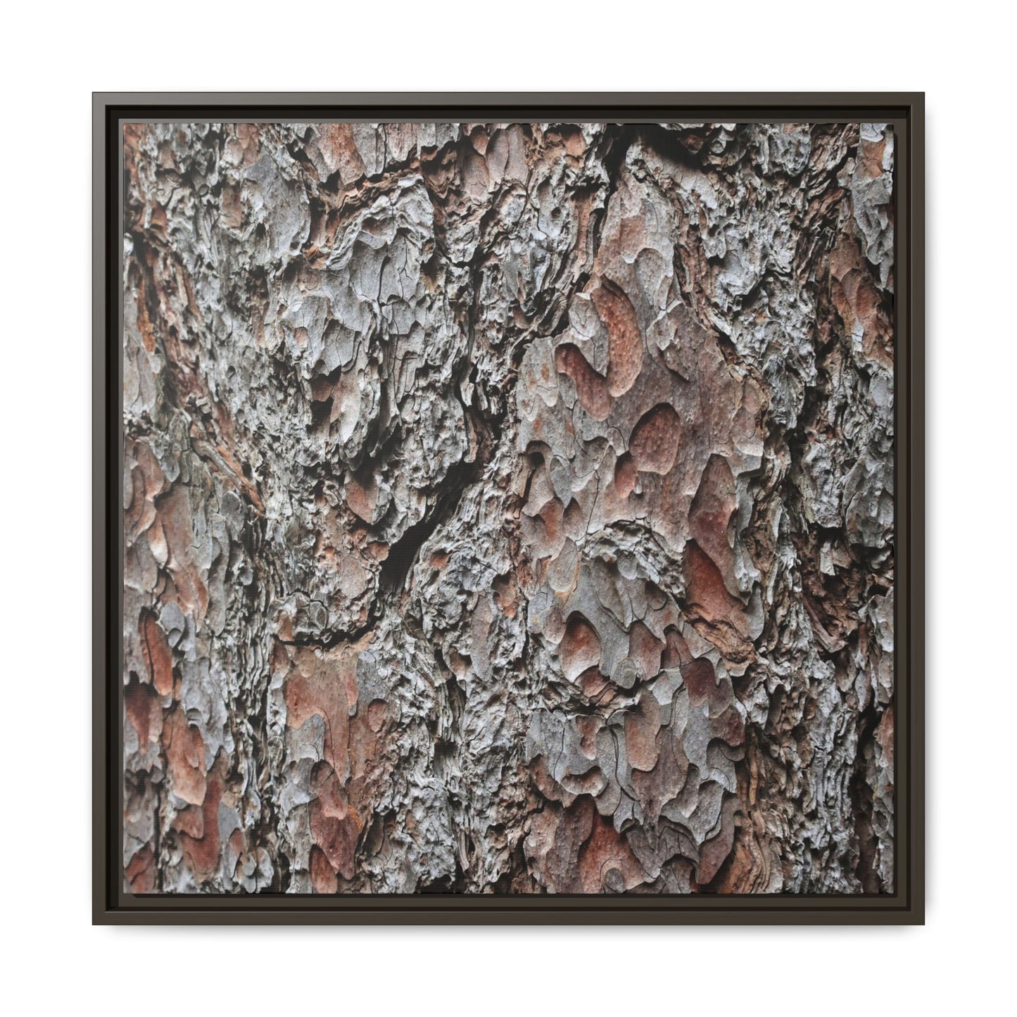 Bark Texture Symphony - Unique Stretched Canvas Wall Art