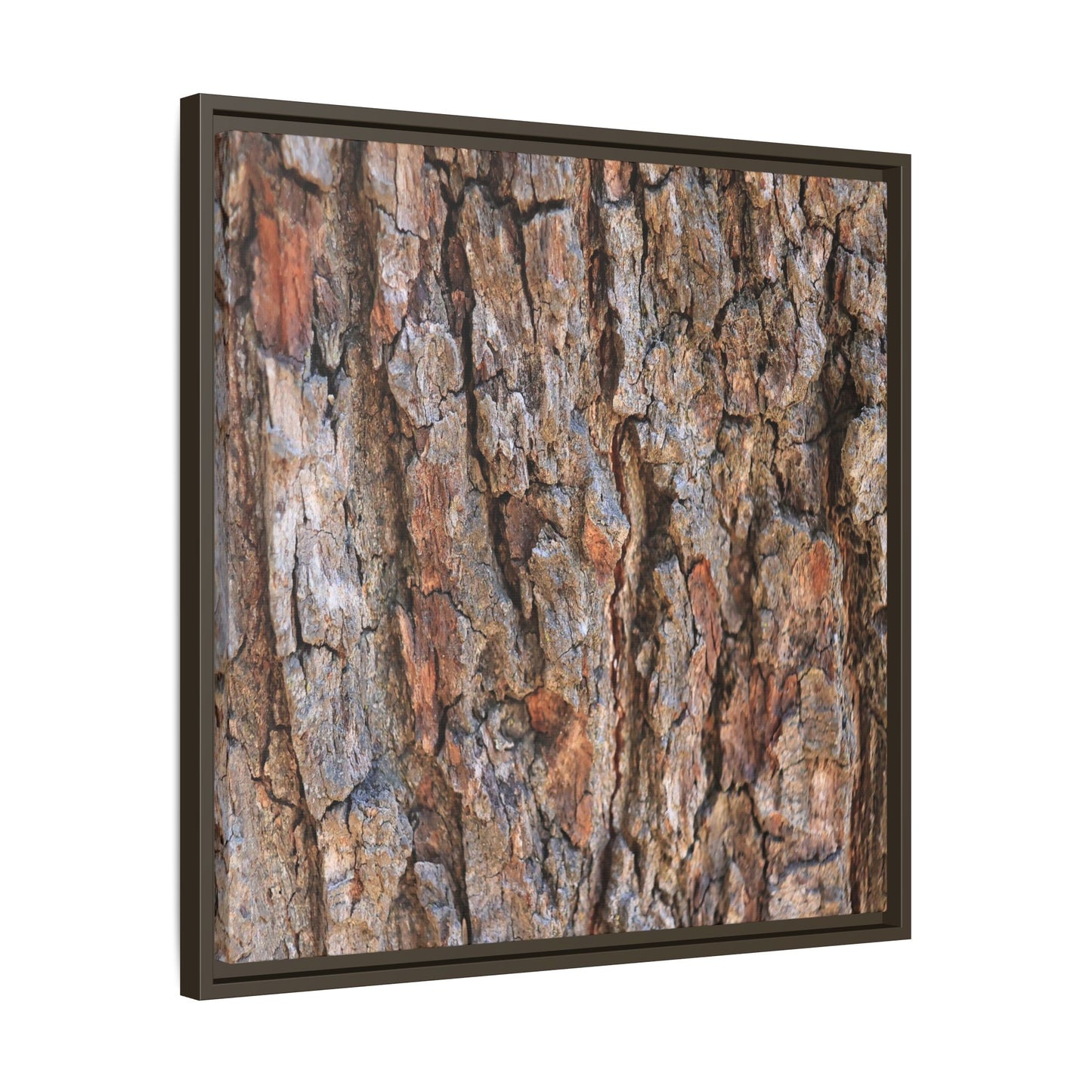 Tree's Timeworn Tale - Unique Stretched Canvas Wall Art