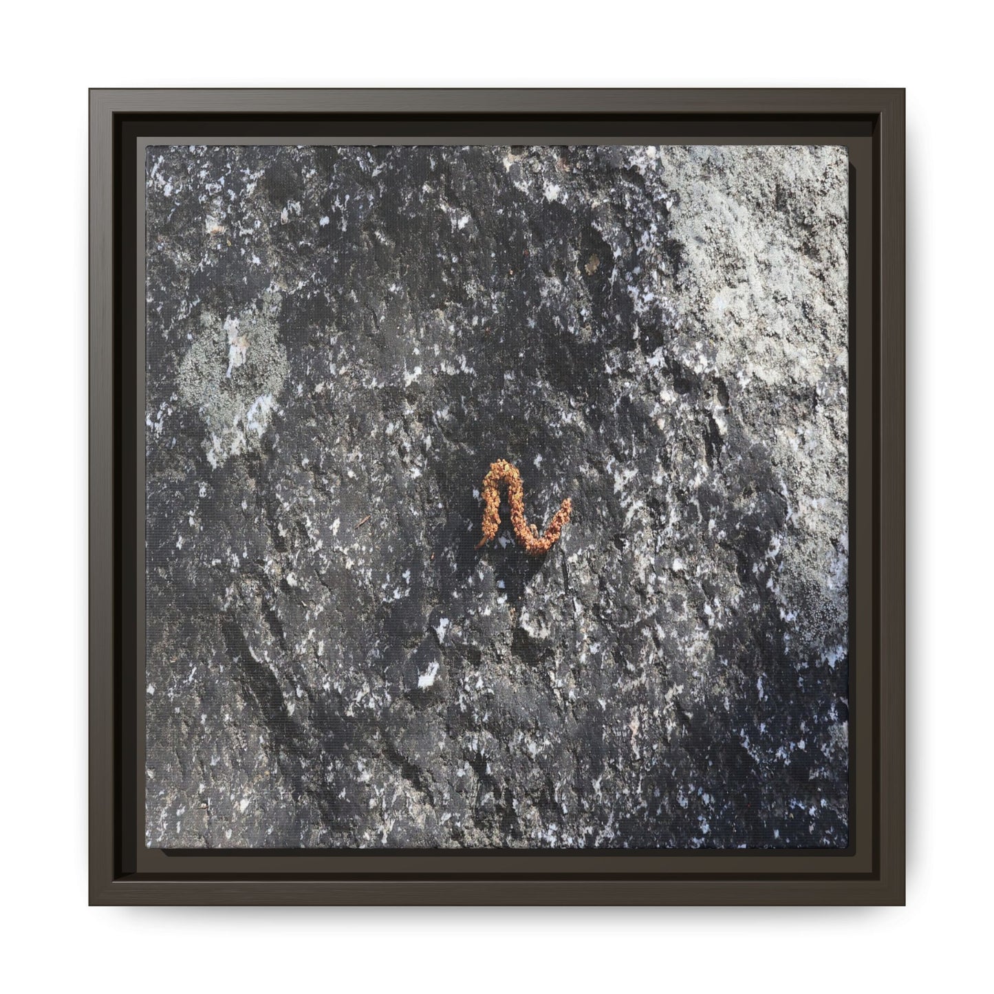 Volcanic Ash and Copper - Unique Stretched Canvas Wall Art