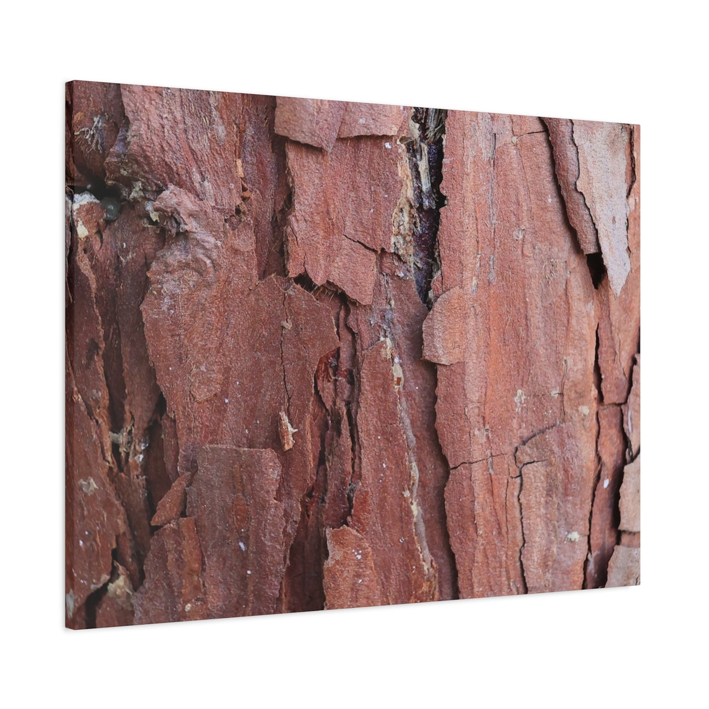 Crimson Fissures - Unique Frameless Canvas Wall Art