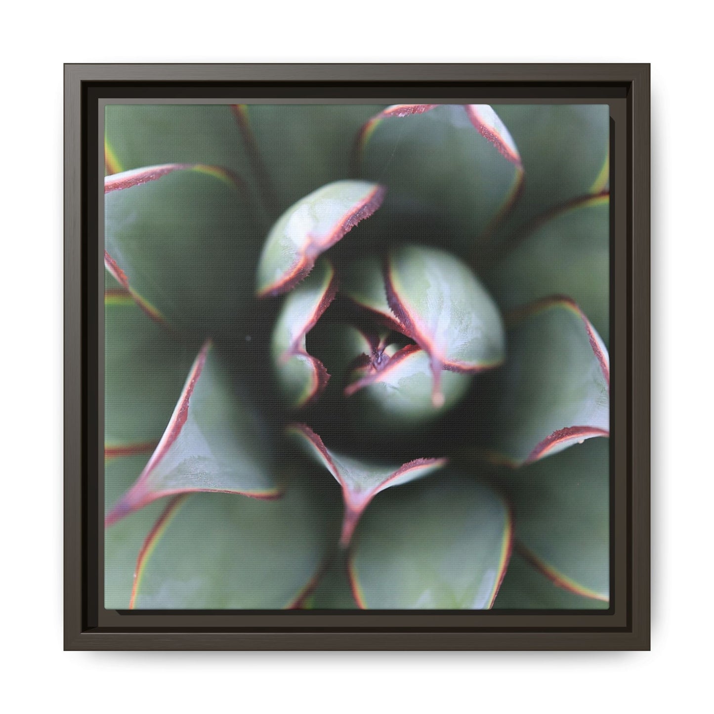 Spiky Elegance - Unique Stretched Canvas Wall Art