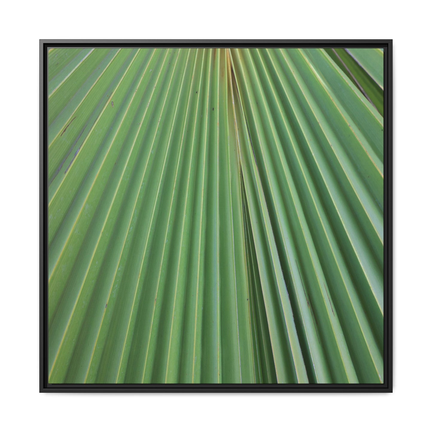 Verdant Veins - Unique Stretched Canvas Wall Art
