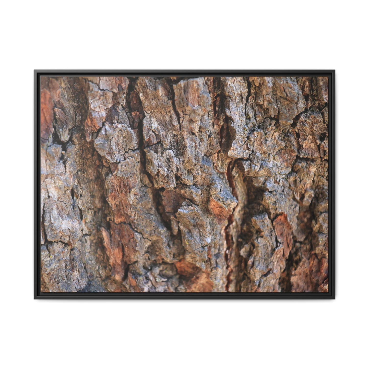 Craggy Textures - Unique Stretched Canvas Wall Art