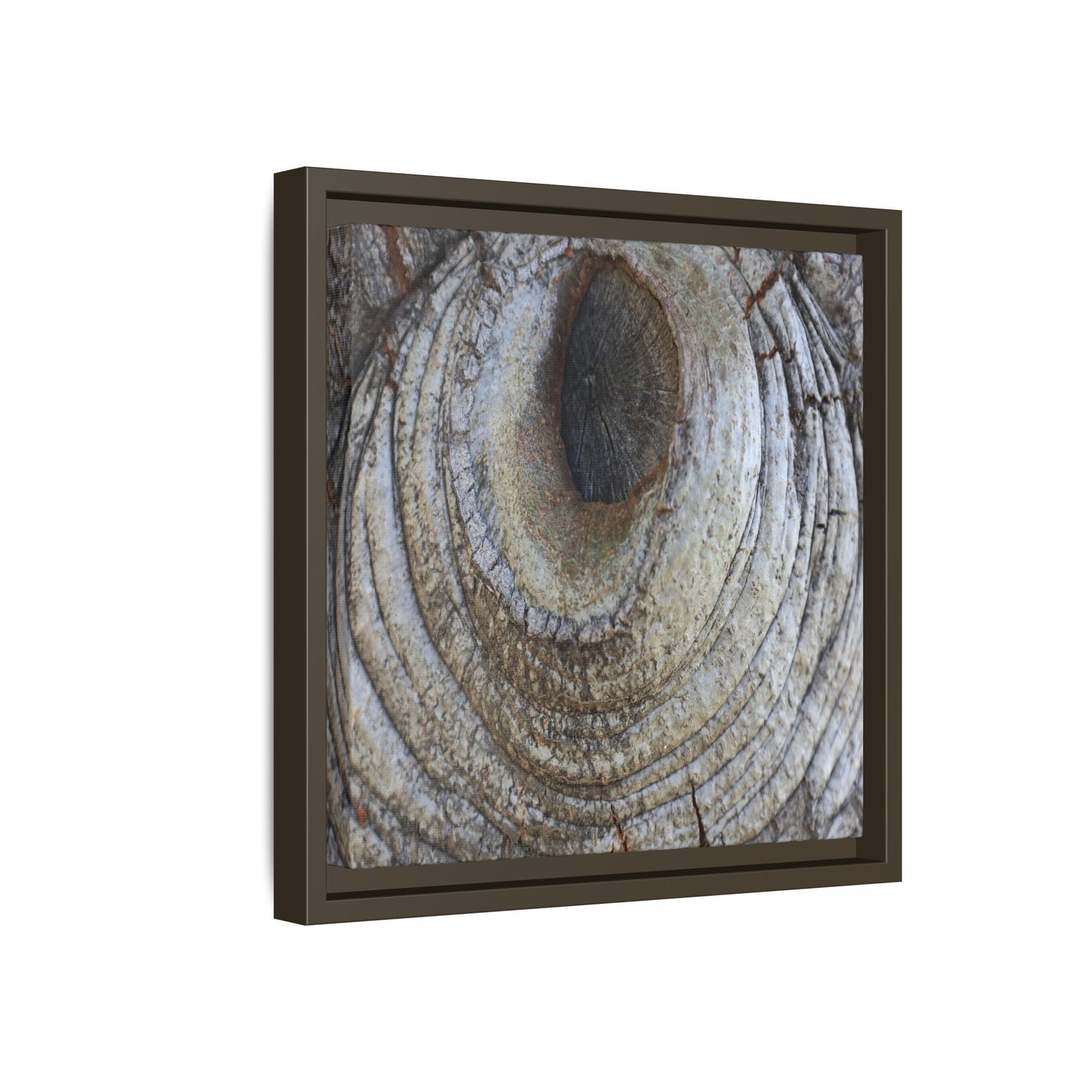 Echoes of Time - Unique Stretched Canvas Wall Art