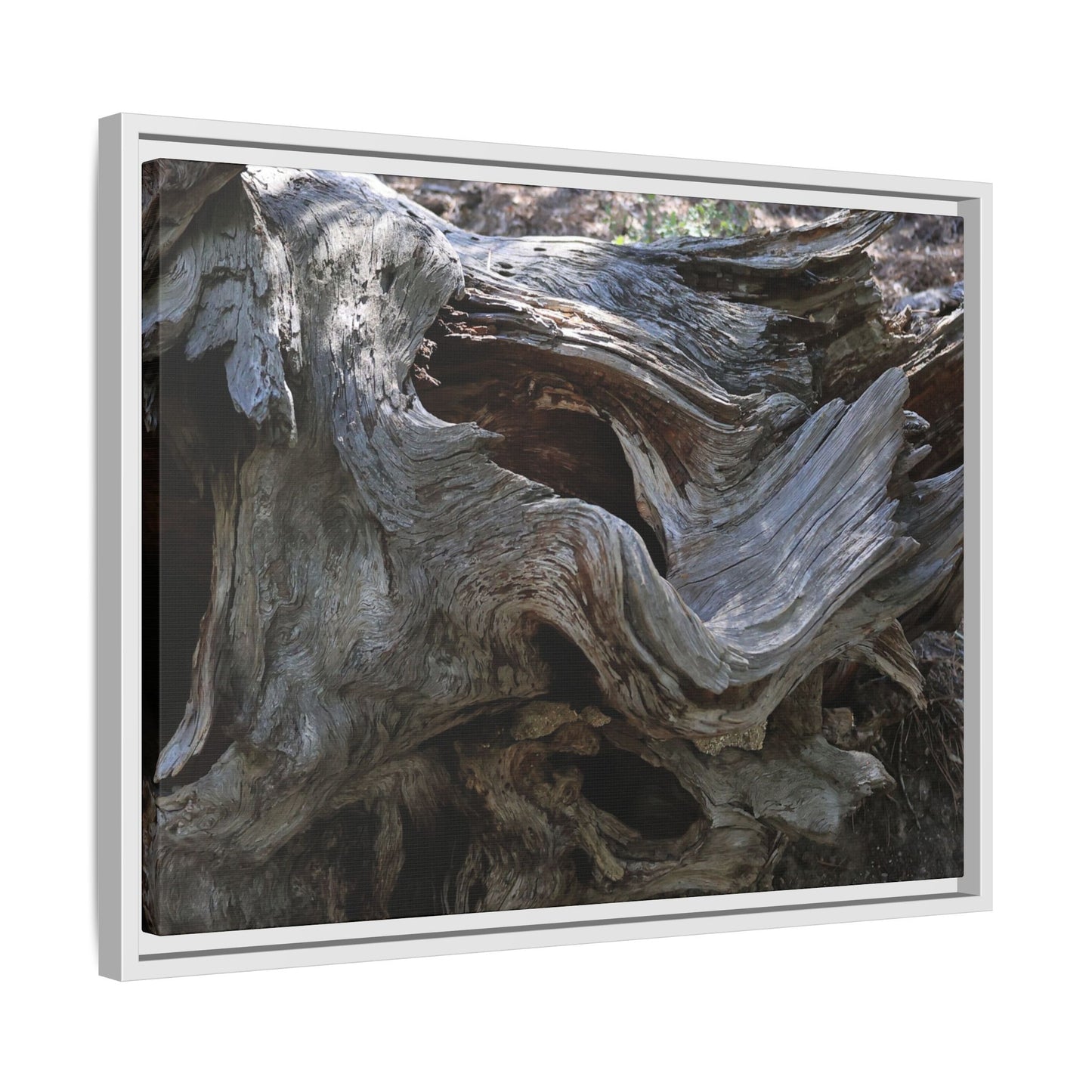 Twisted Memories - Unique Stretched Canvas Wall Art