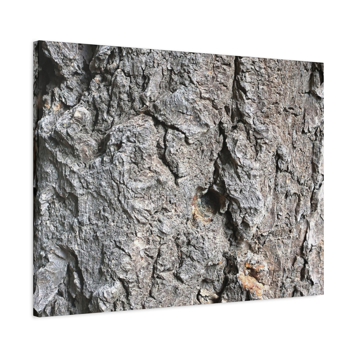 Elemental Canvas - Unique Frameless Canvas Wall Art