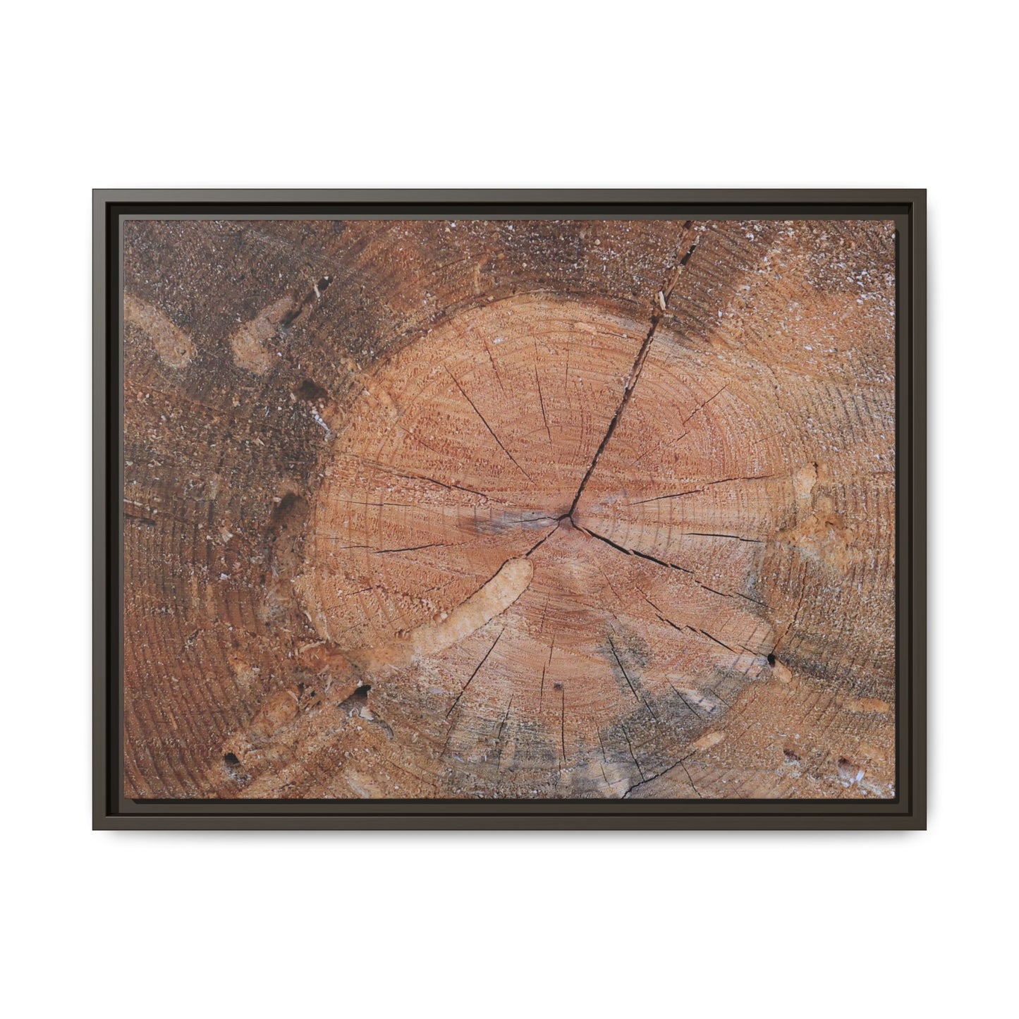 Concentric Memories - Unique Stretched Canvas Wall Art