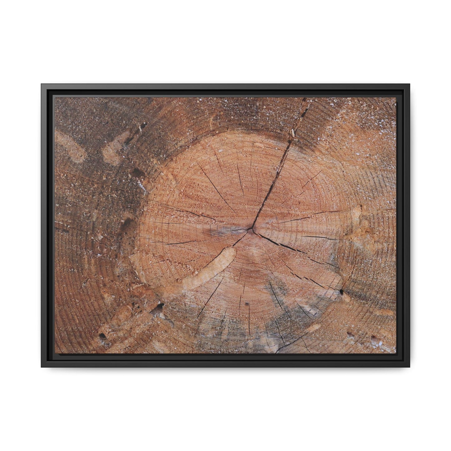 Concentric Memories - Unique Stretched Canvas Wall Art