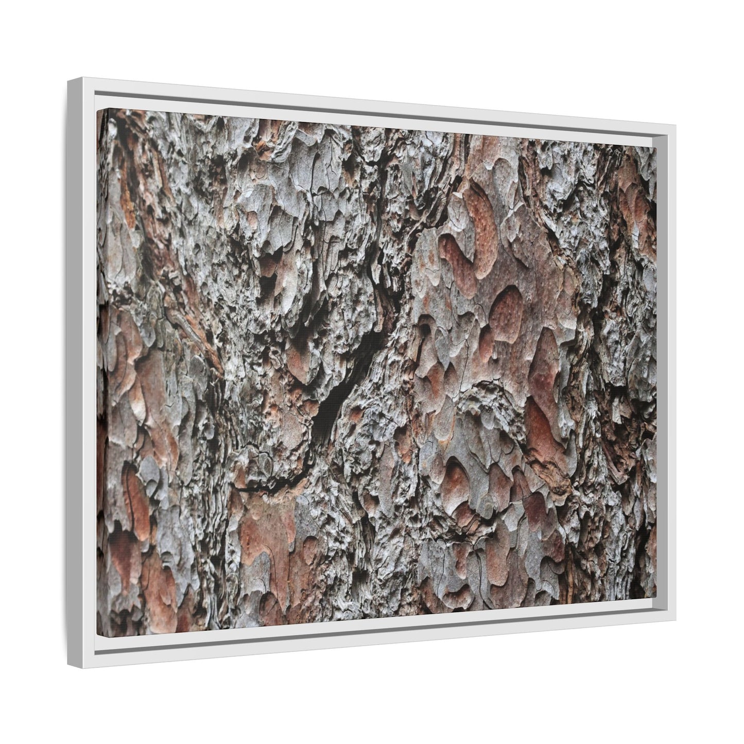 Bark Texture Symphony - Unique Stretched Canvas Wall Art