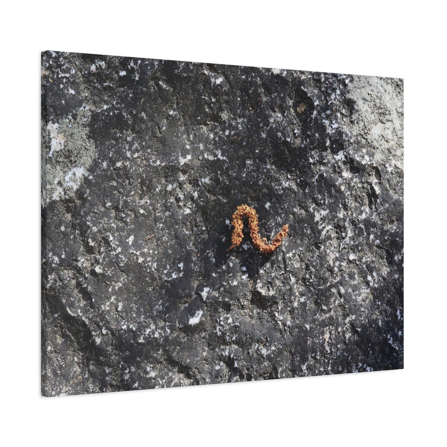 Earthen Serpent - Unique Frameless Canvas Wall Art