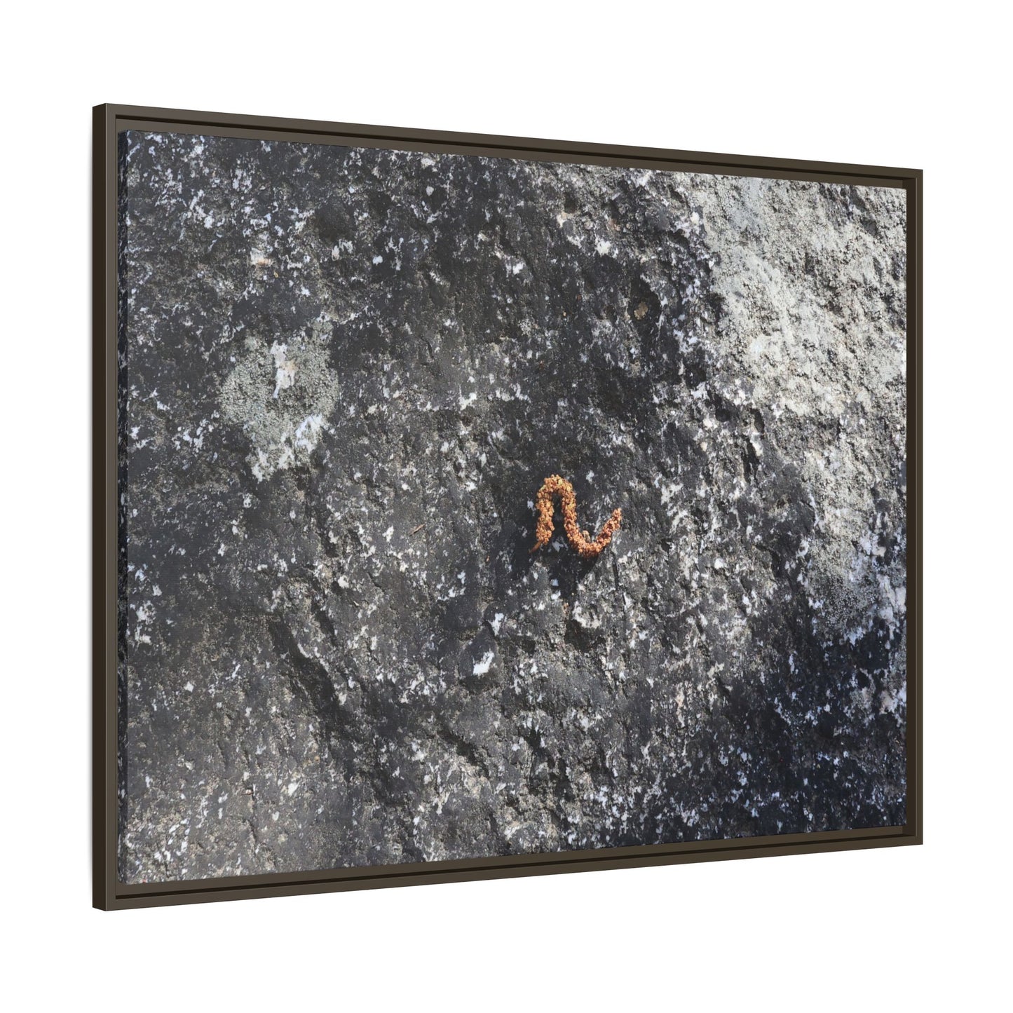 Volcanic Ash and Copper - Unique Stretched Canvas Wall Art