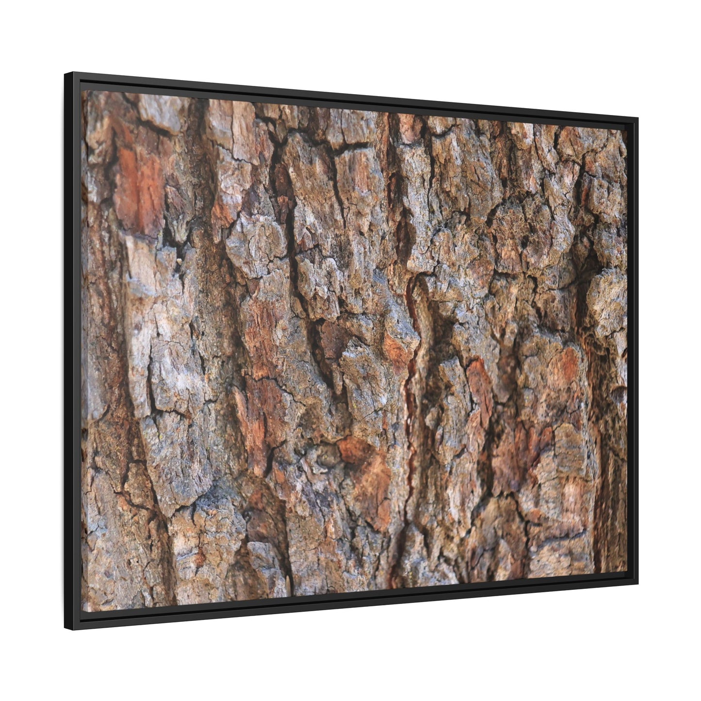 Tree's Timeworn Tale - Unique Stretched Canvas Wall Art