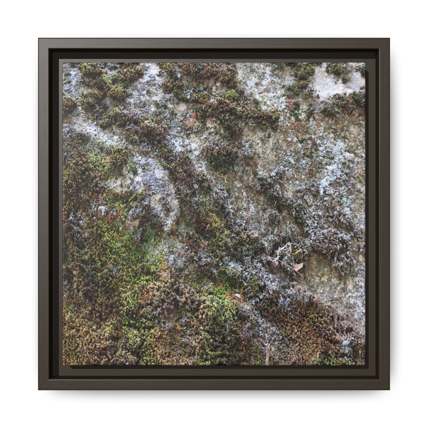 Mossy Whispers - Unique Stretched Canvas Wall Art