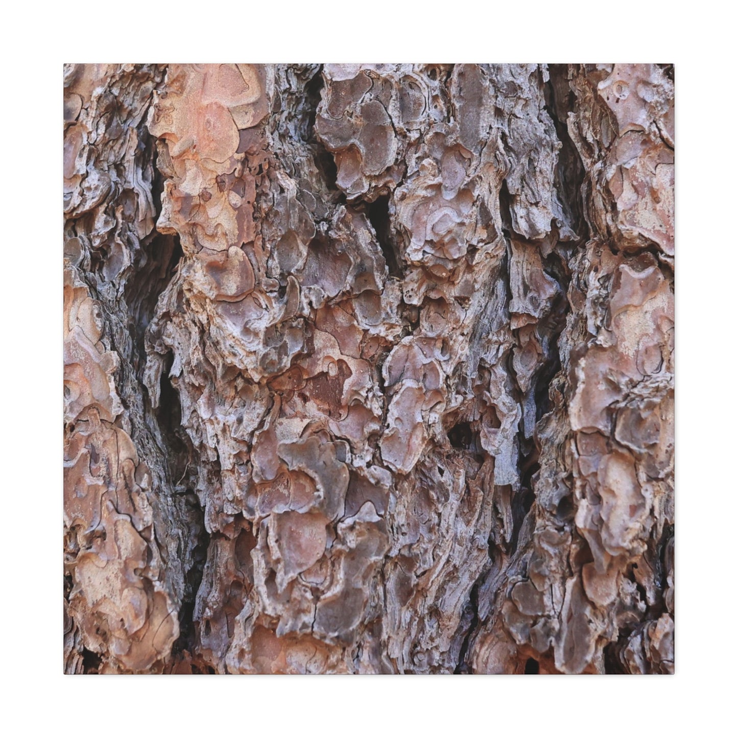 Rough Canvas - Unique Frameless Canvas Wall Art