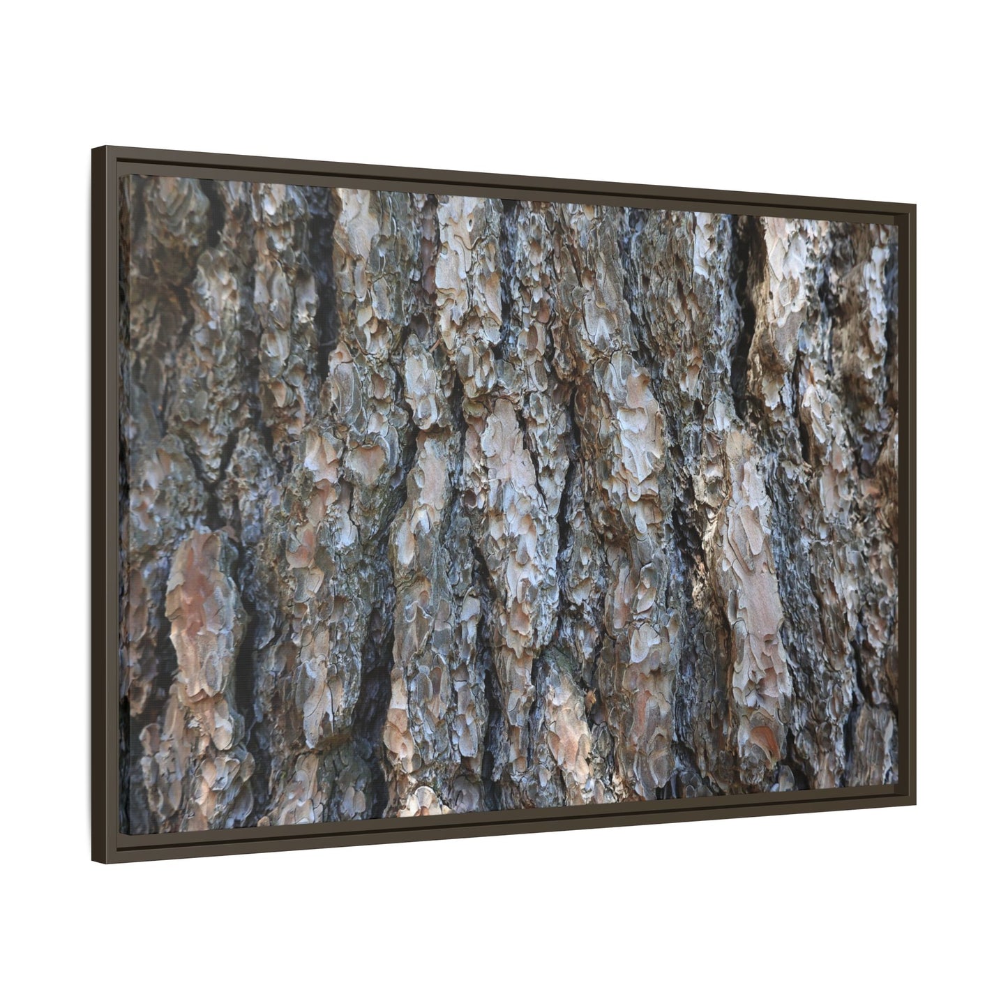 Bark Whispers - Unique Stretched Canvas Wall Art