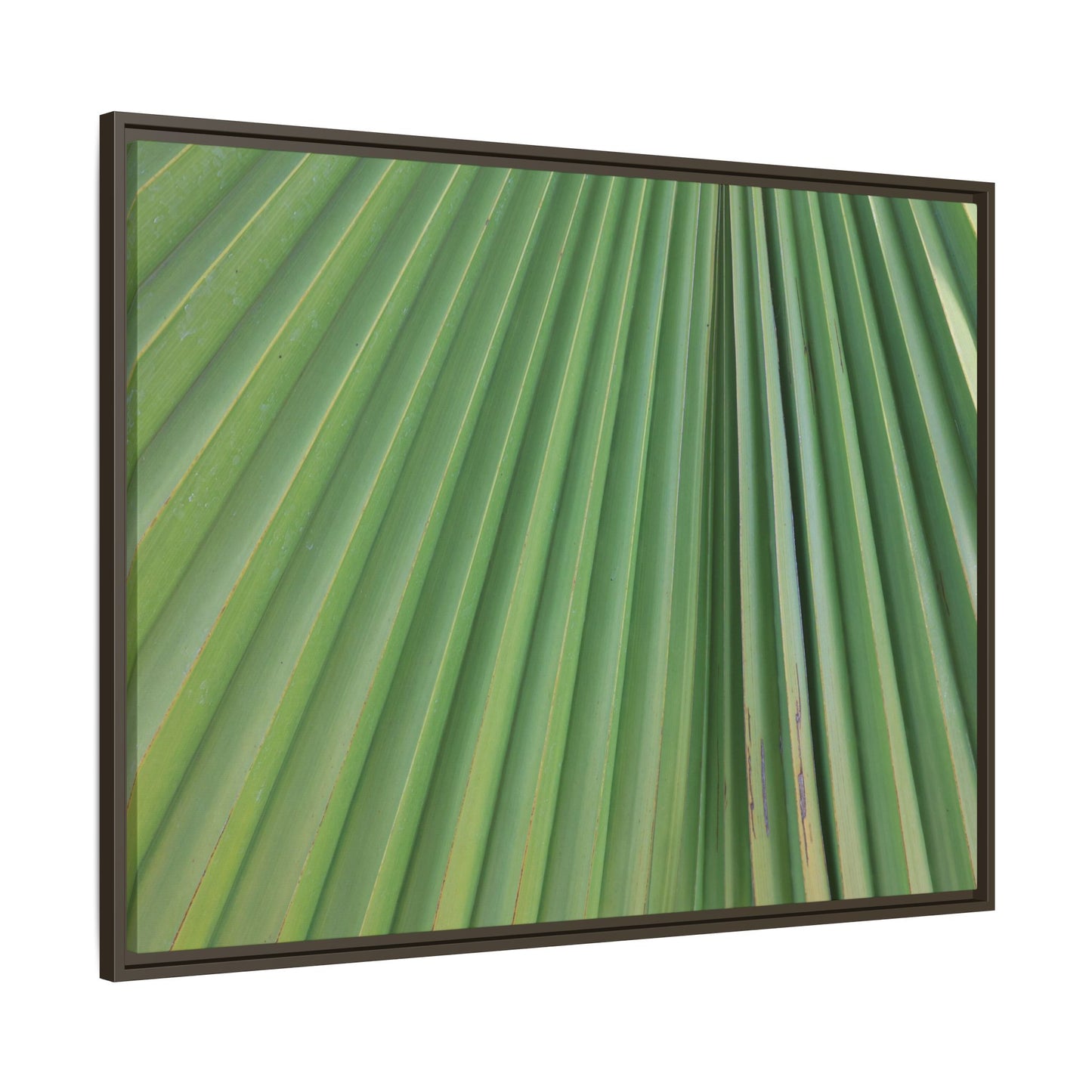 Emerald Rays - Unique Stretched Canvas Wall Art
