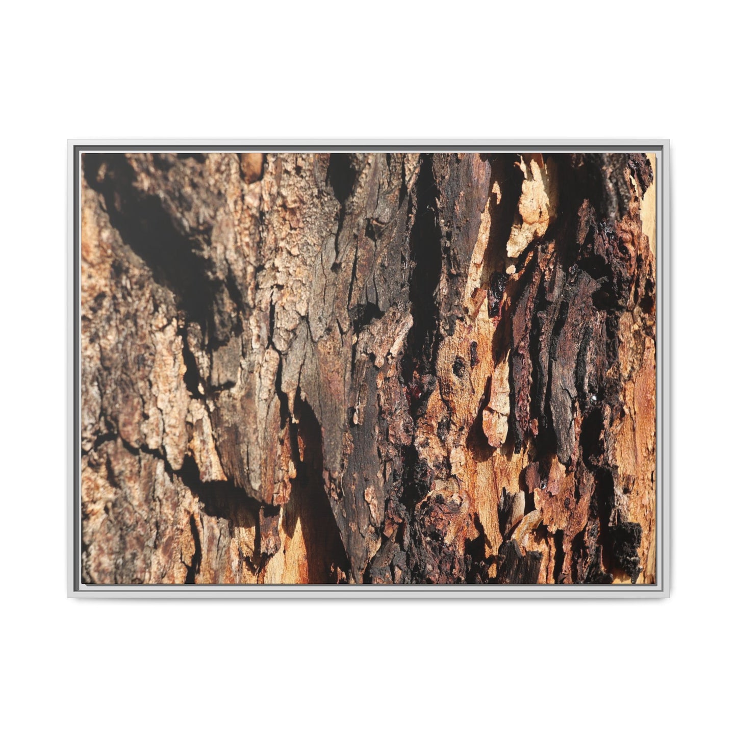 Rugged Beauty - Unique Stretched Canvas Wall Art
