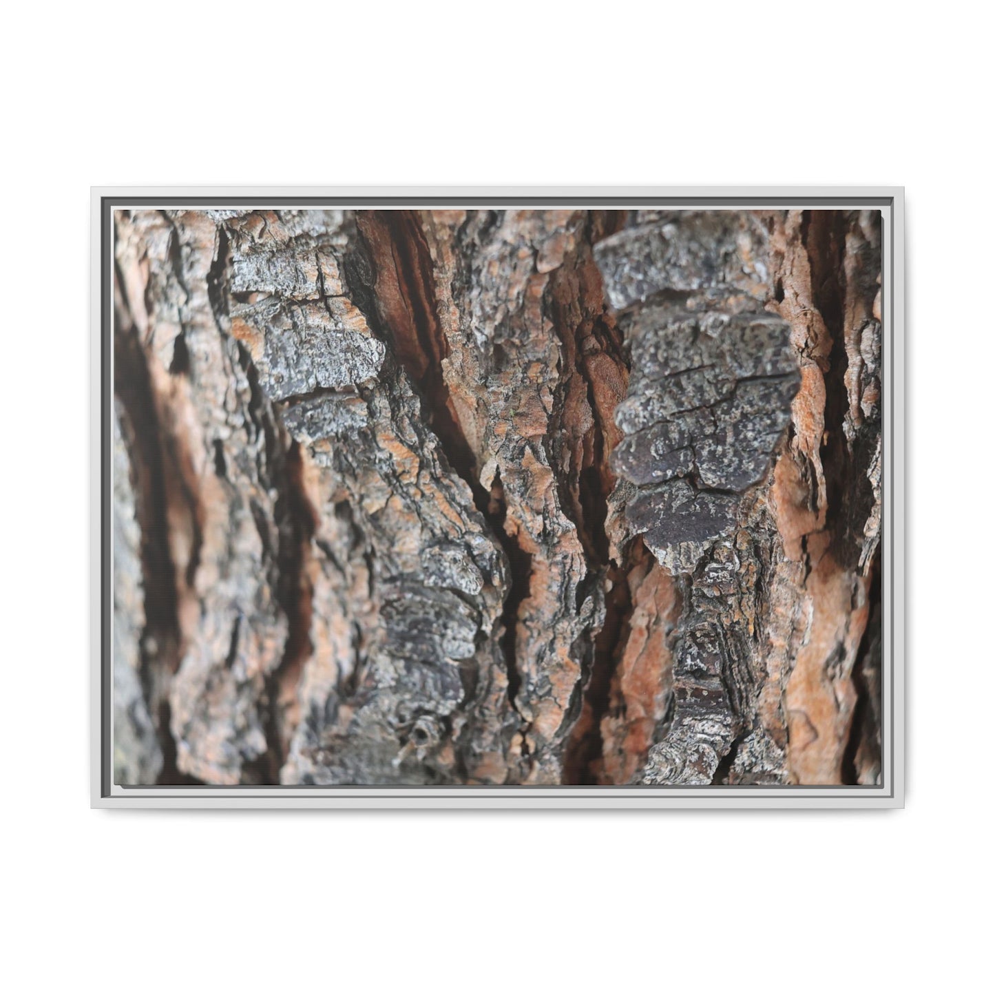 Fractured Nature - Unique Stretched Canvas Wall Art