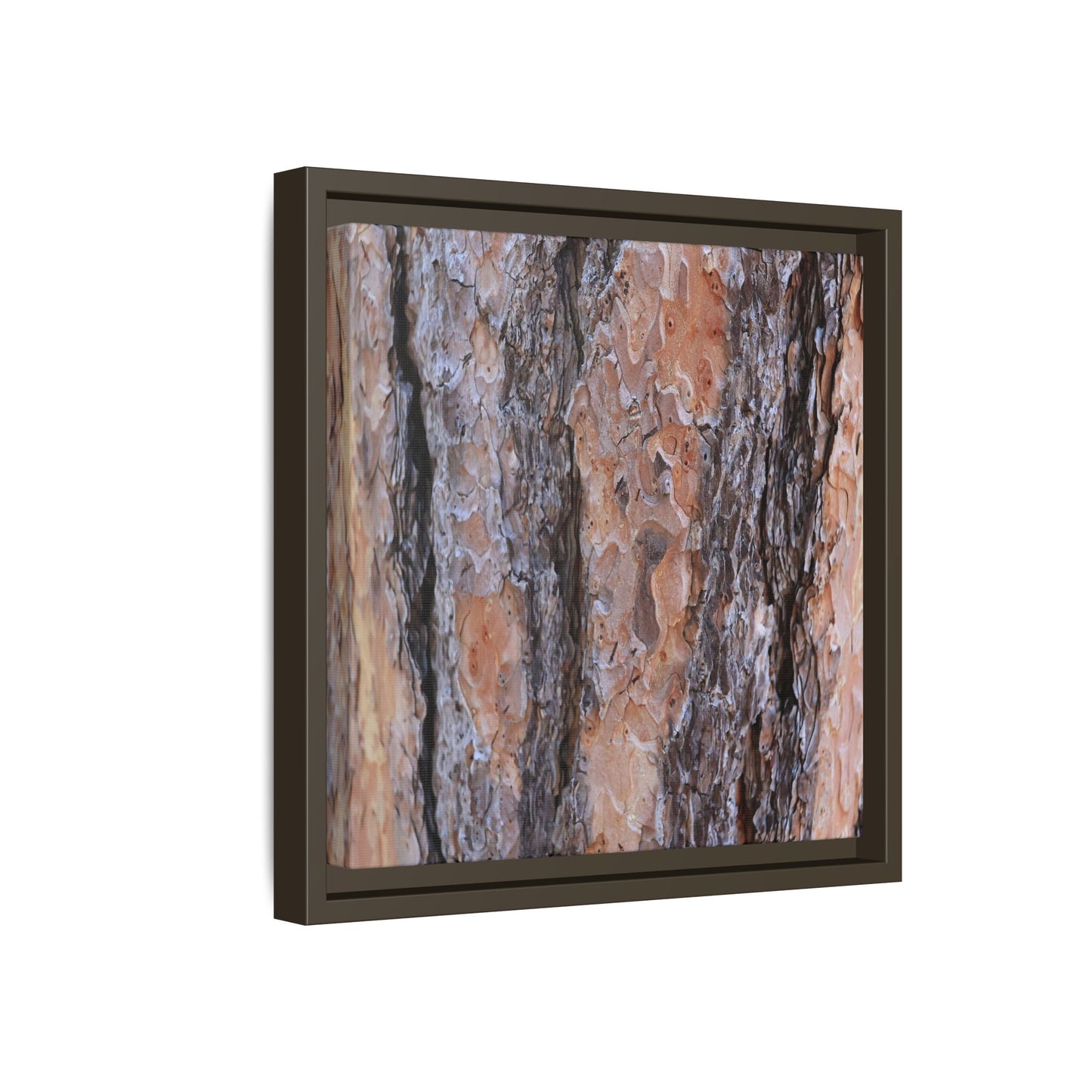 Earthy Embrace - Unique Stretched Canvas Wall Art