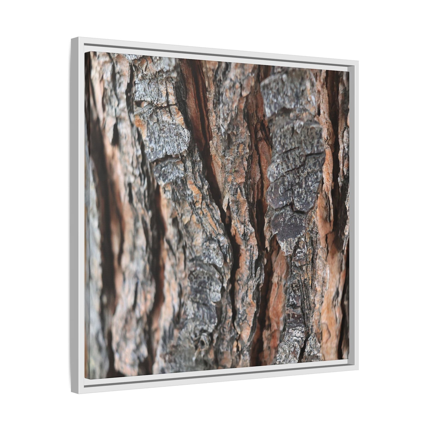 Fractured Nature - Unique Stretched Canvas Wall Art