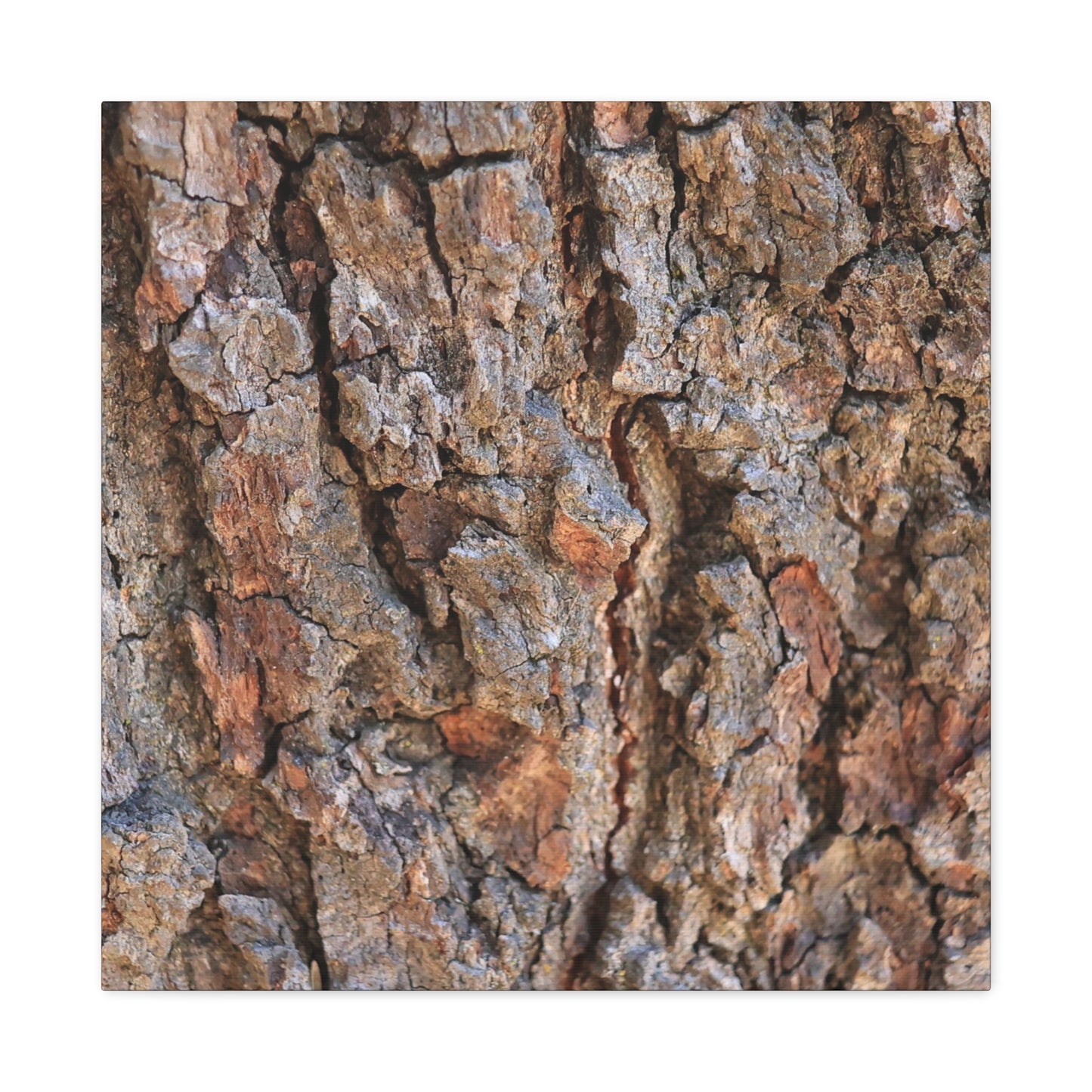 Roots of Time - Unique Frameless Canvas Wall Art