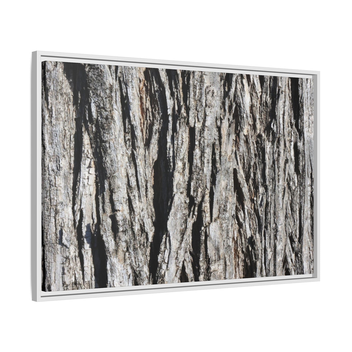 Bark Lines - Unique Stretched Canvas Wall Art