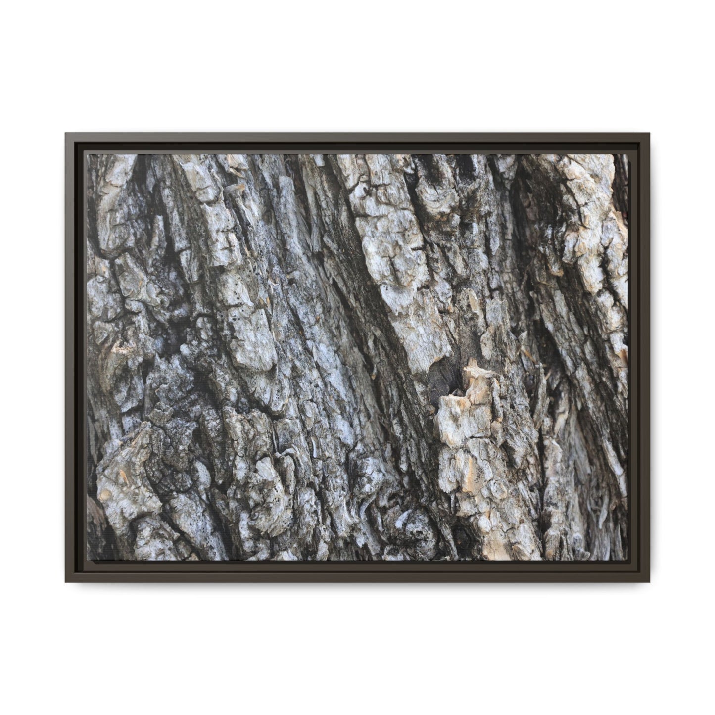 Twisted Textures - Unique Stretched Canvas Wall Art