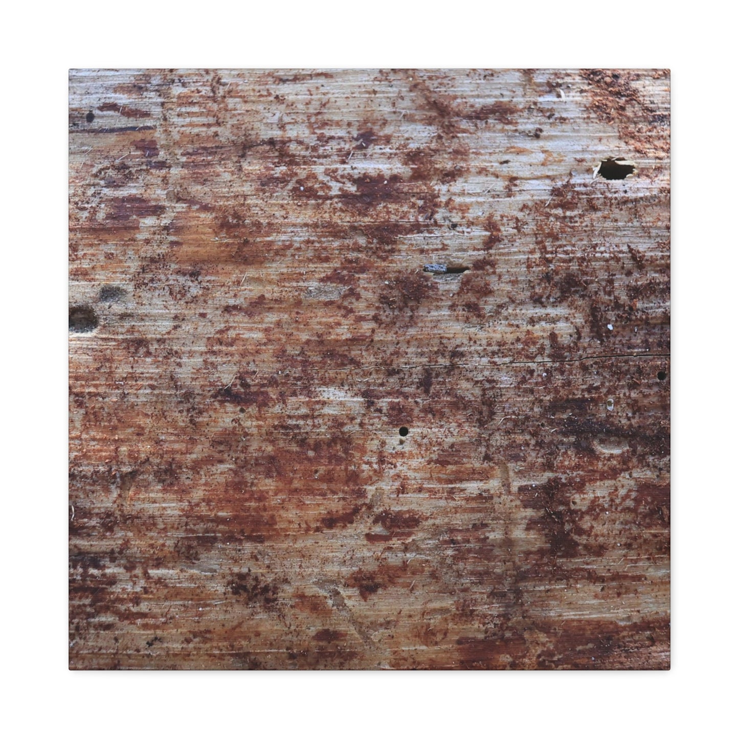 Decaying Memoir - Unique Frameless Canvas Wall Art