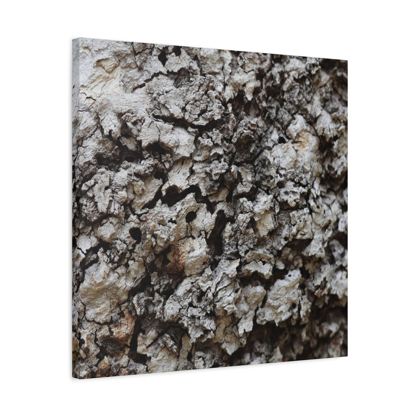 Cracked Earth Tapestry - Unique Frameless Canvas Wall Art