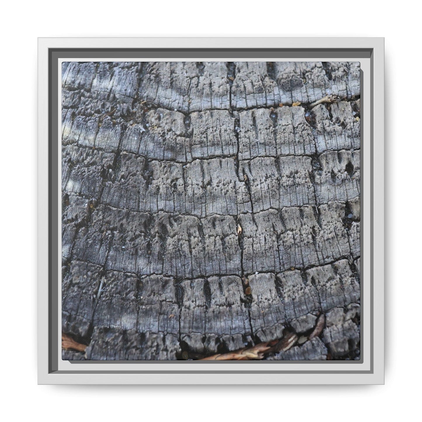 Charred Memories - Unique Stretched Canvas Wall Art