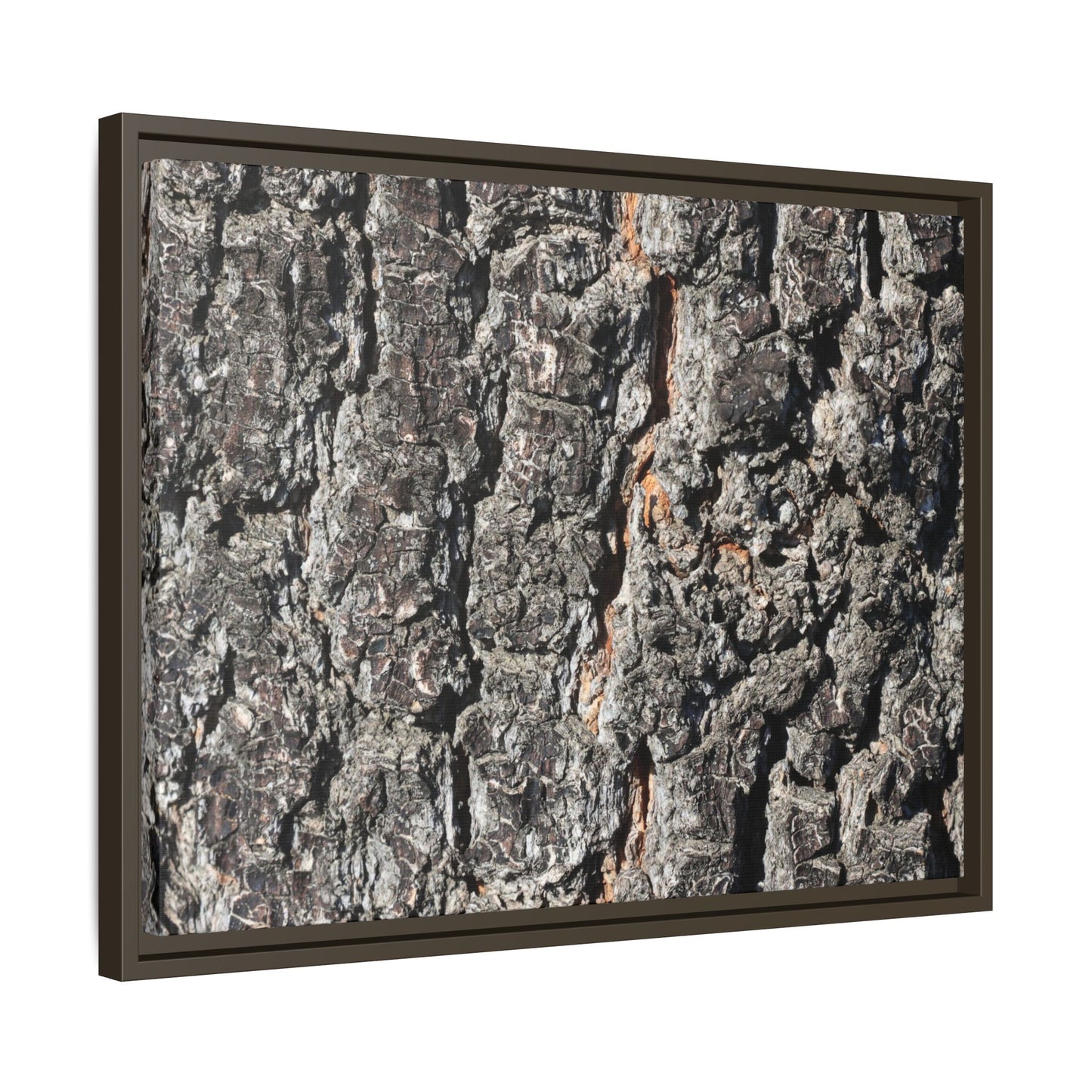 Aged Beauty - Unique Stretched Canvas Wall Art