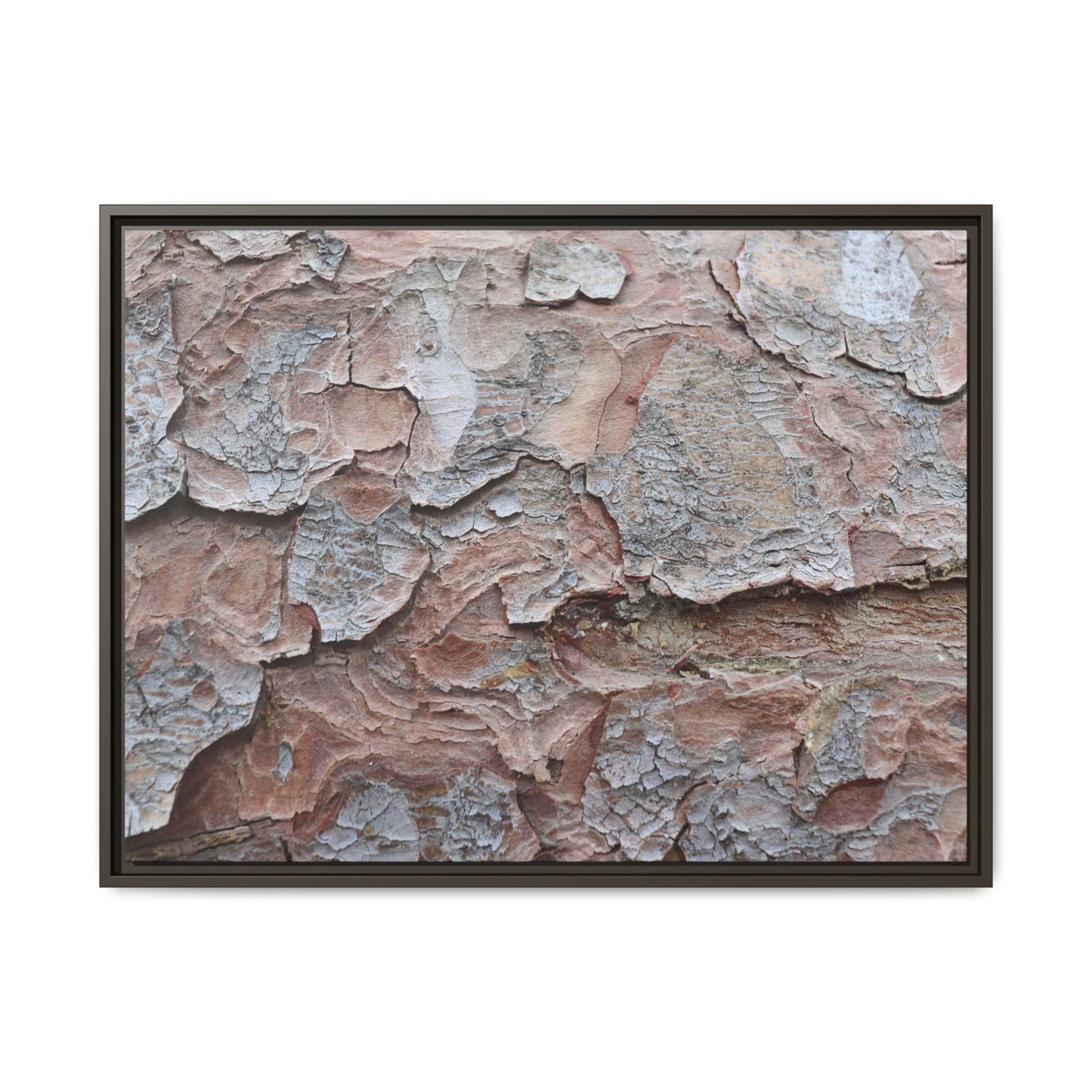 Flaking Serenity - Unique Stretched Canvas Wall Art