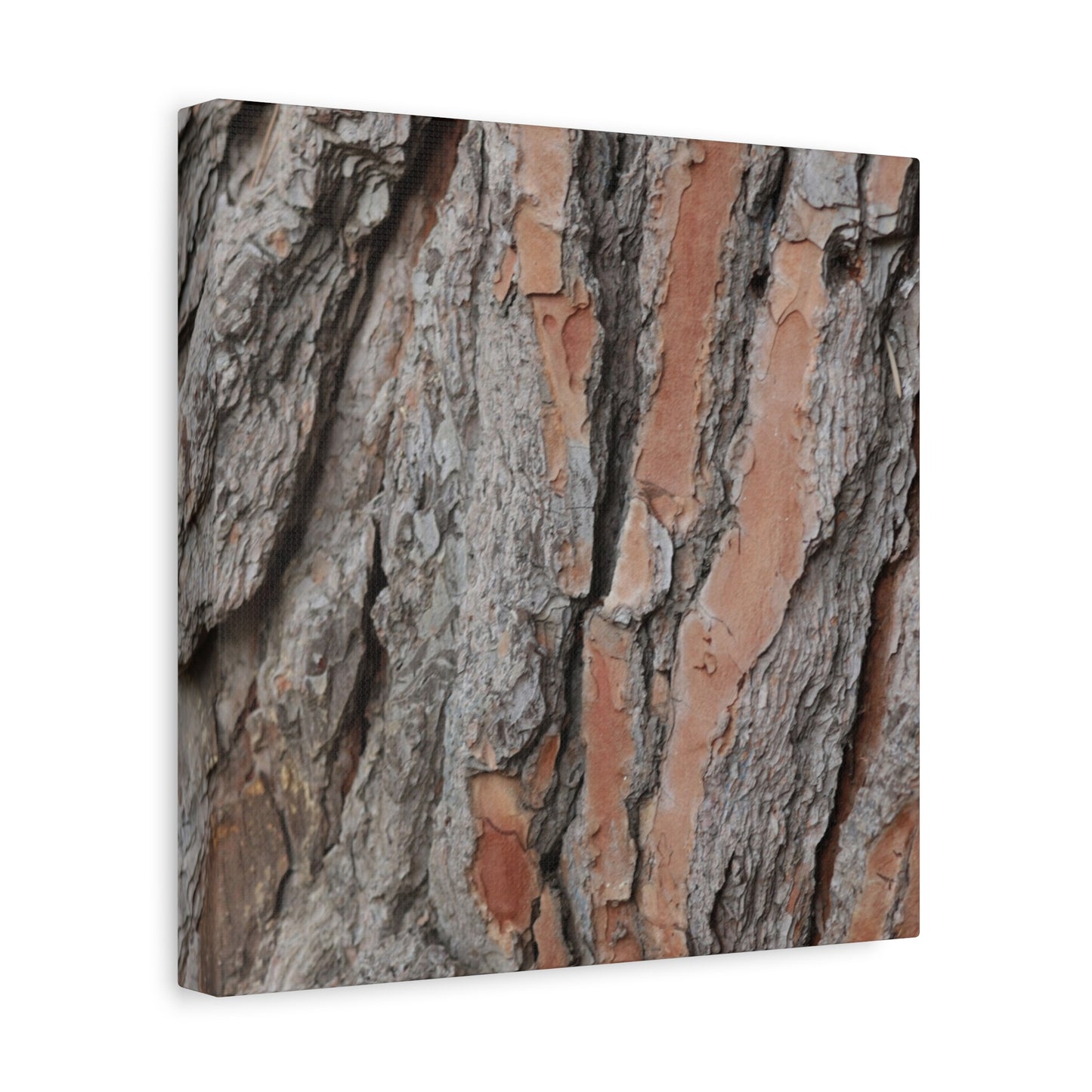 Fractal Landscape - Unique Frameless Canvas Wall Art