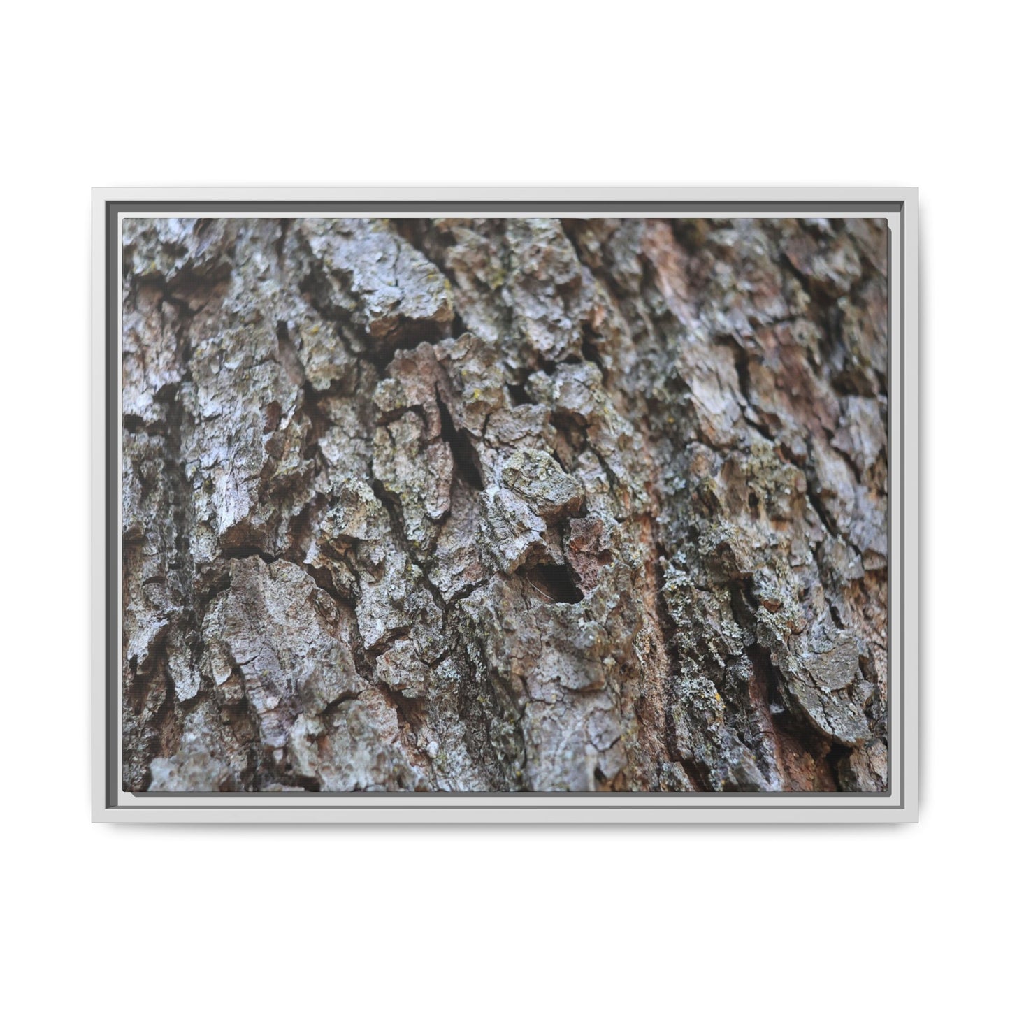 Woodland Canvas - Unique Stretched Canvas Wall Art