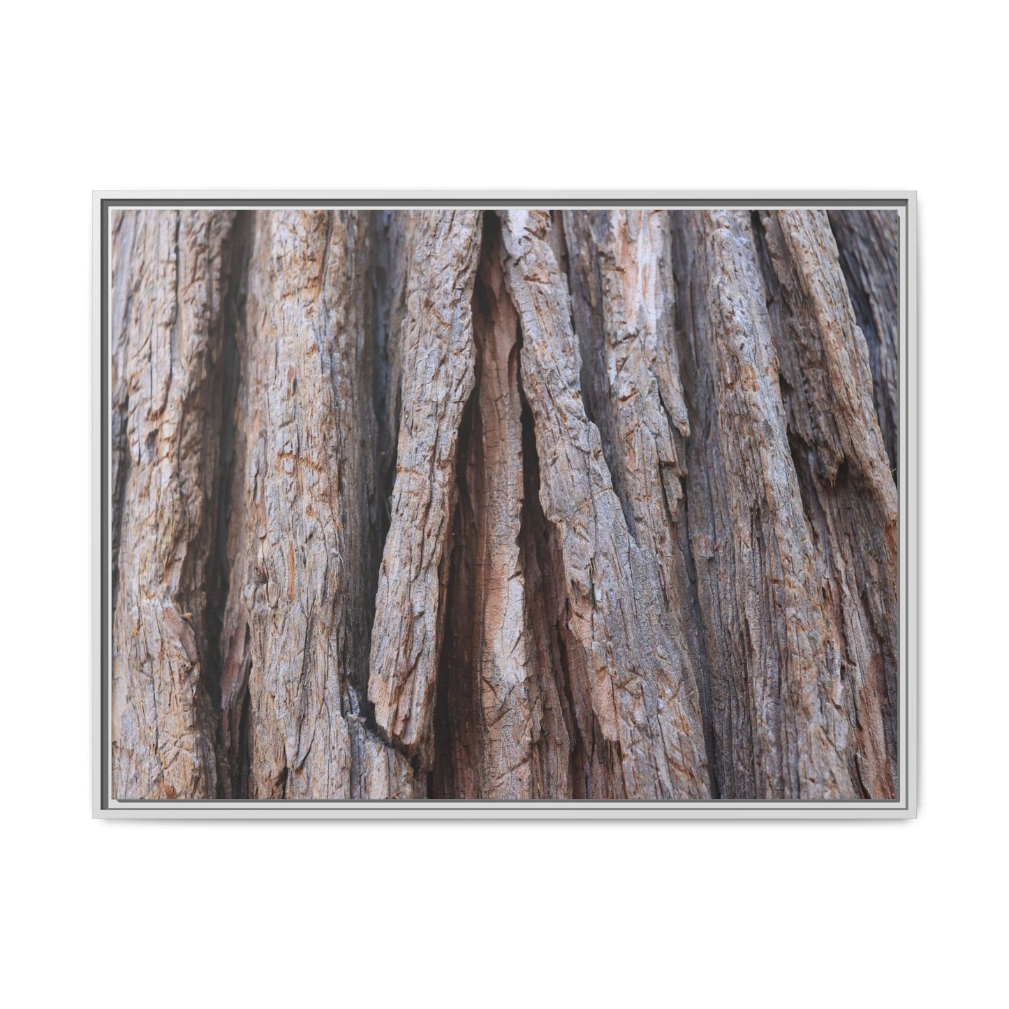 Nature's Sculpture - Unique Stretched Canvas Wall Art