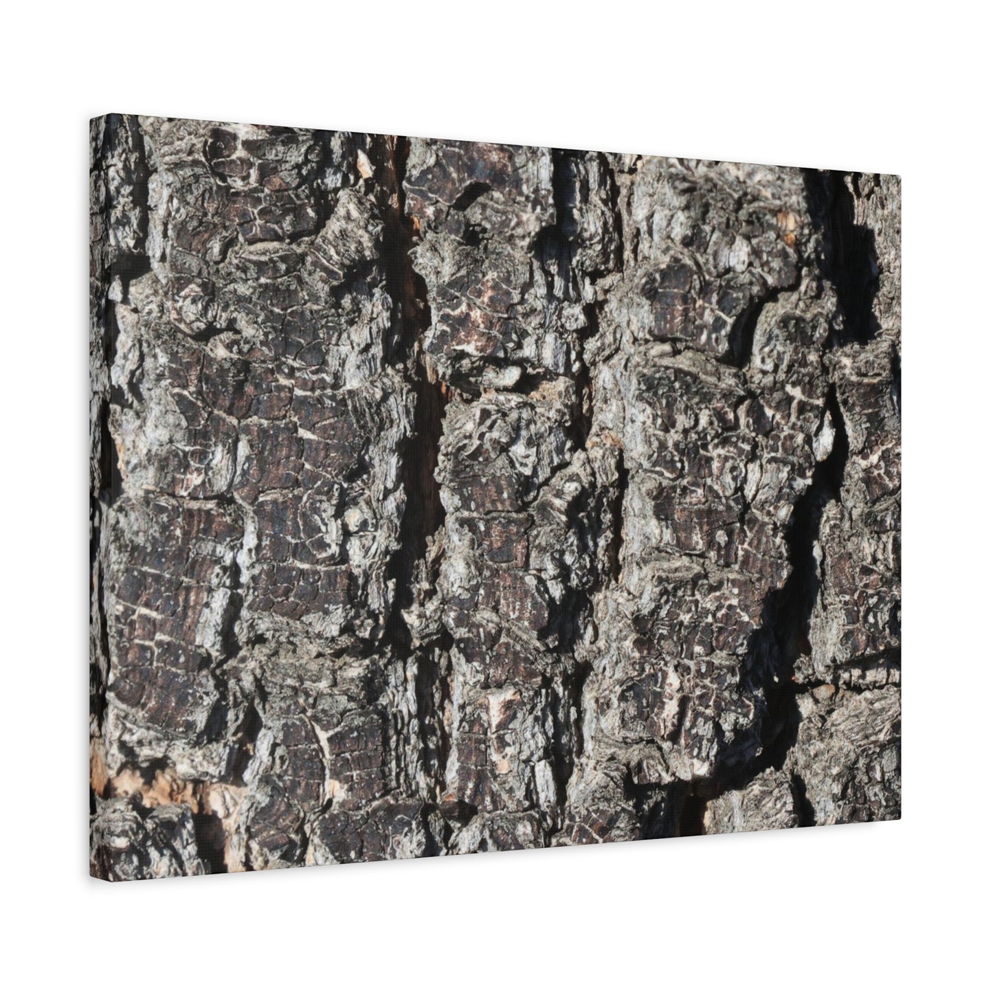 Cracked Skin of Earth - Unique Frameless Canvas Wall Art