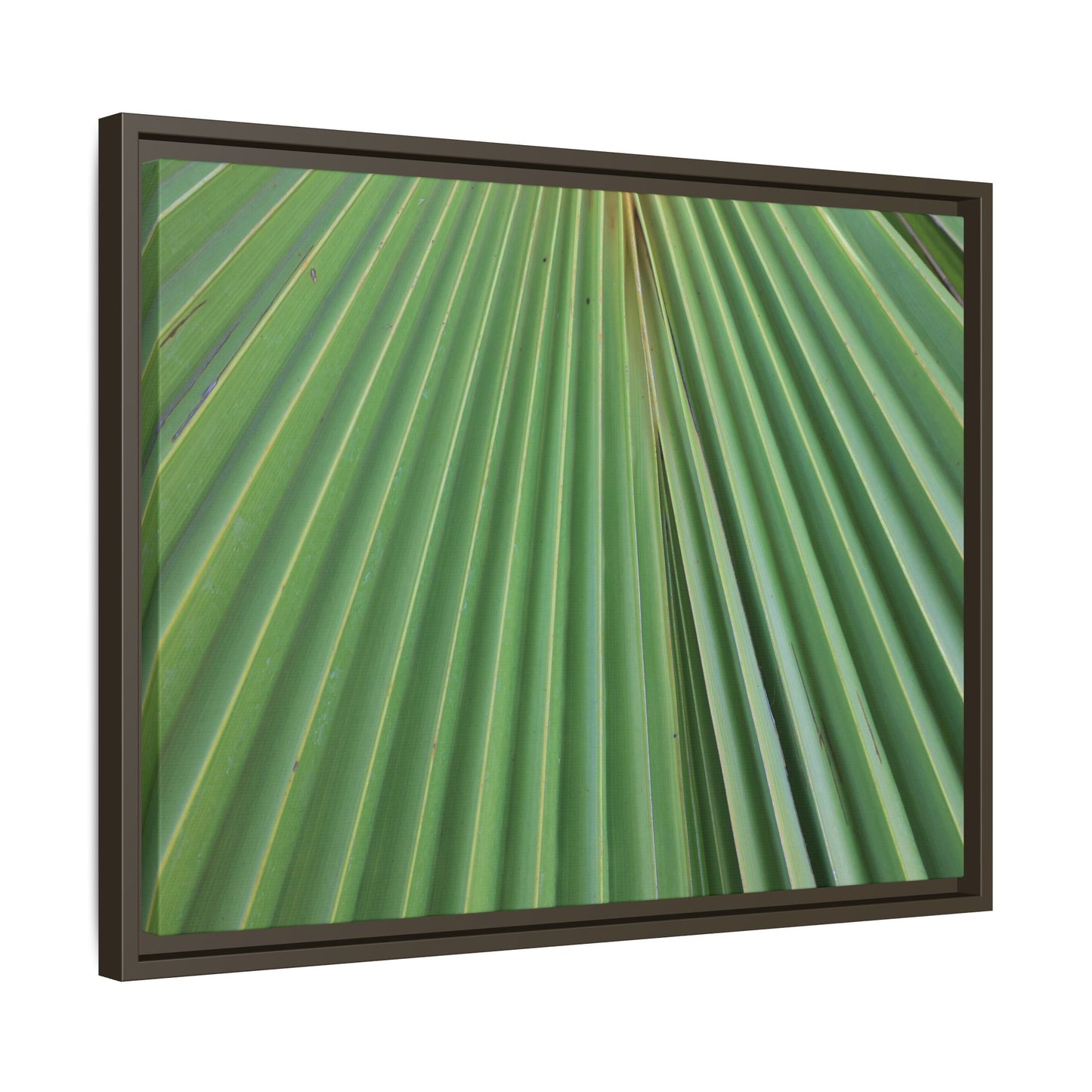 Verdant Veins - Unique Stretched Canvas Wall Art