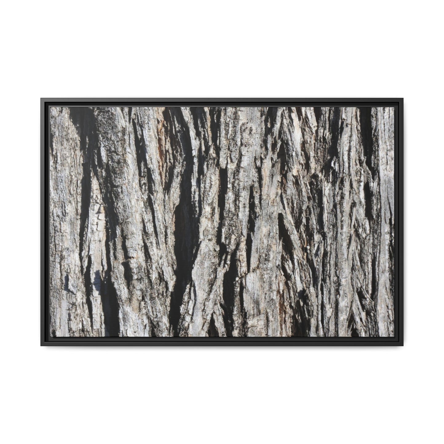 Bark Lines - Unique Stretched Canvas Wall Art