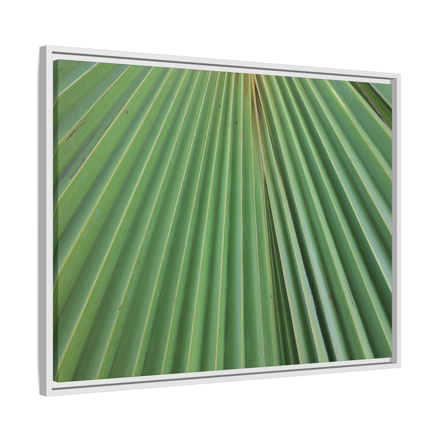 Verdant Veins - Unique Stretched Canvas Wall Art