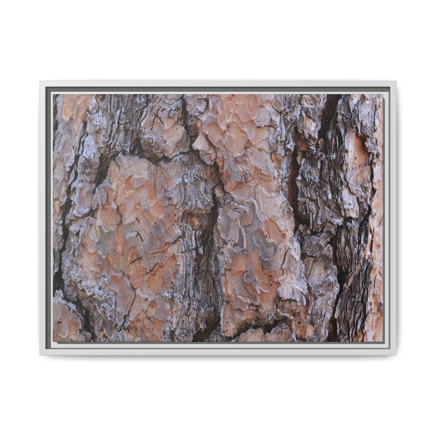 Tree Skin Symphony - Unique Stretched Canvas Wall Art