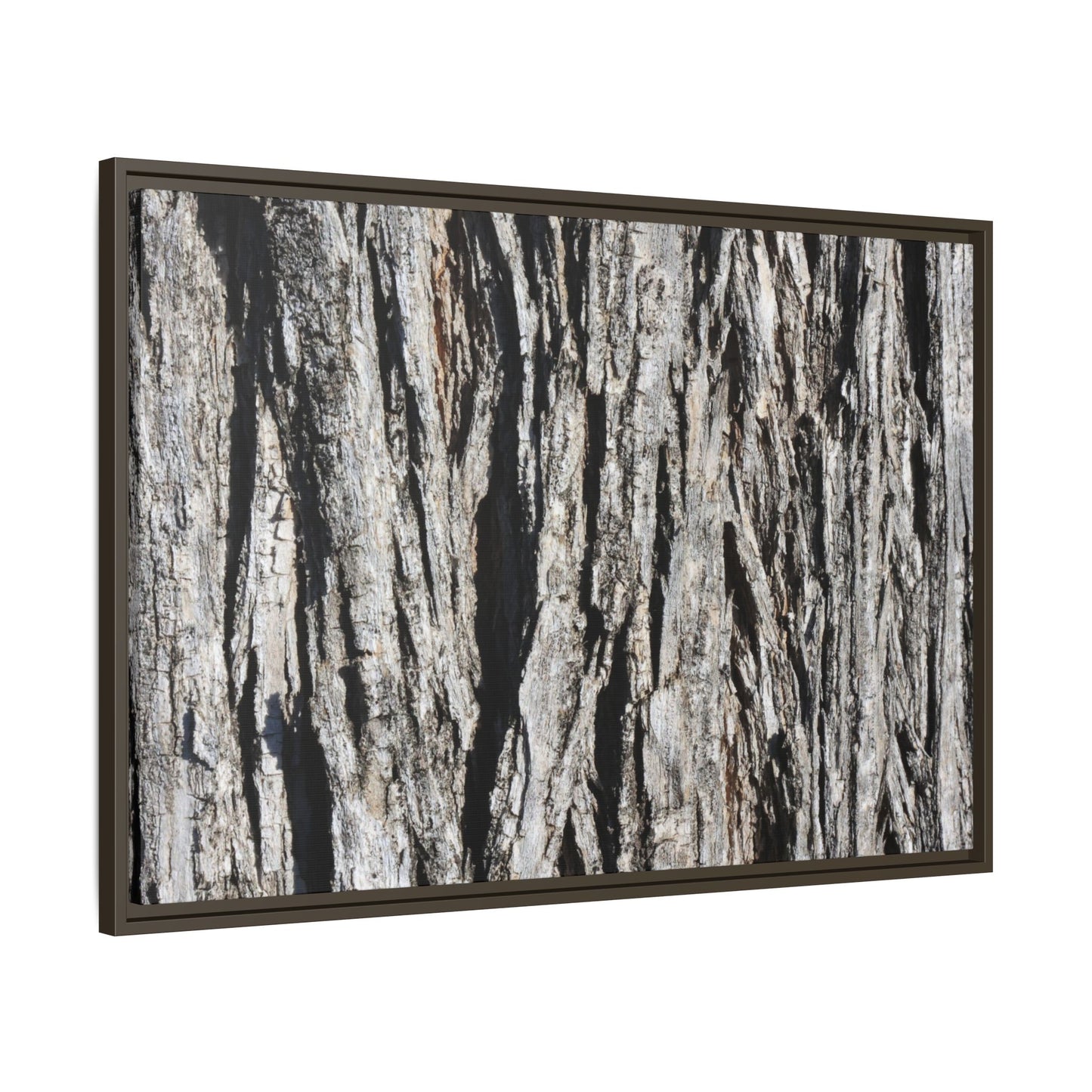 Bark Lines - Unique Stretched Canvas Wall Art