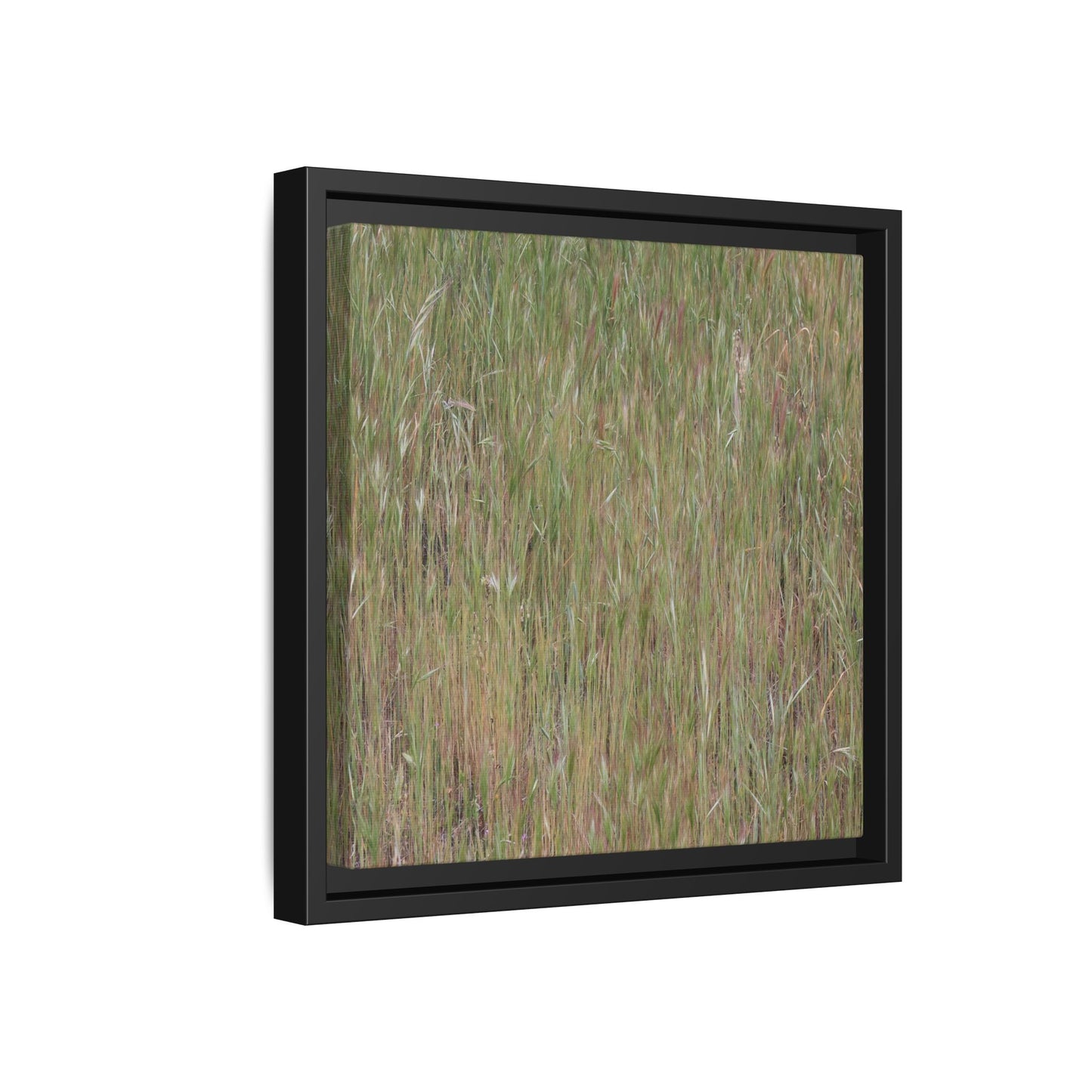 Field of Dreams - Unique Stretched Canvas Wall Art