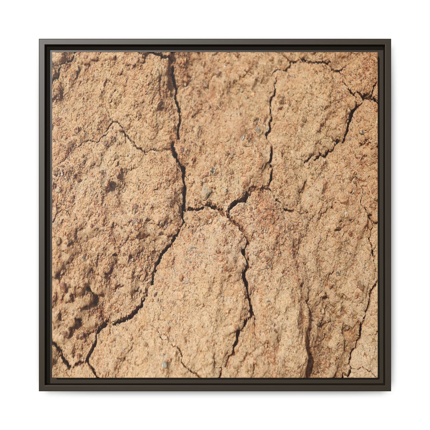 Parched Land - Unique Stretched Canvas Wall Art