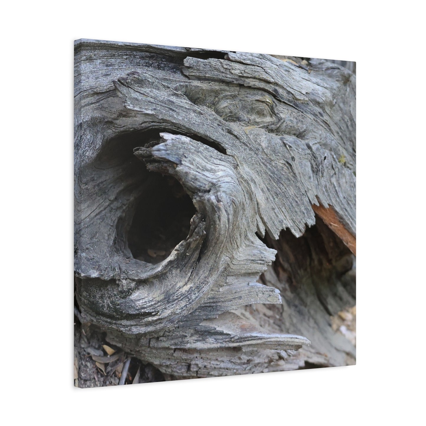 Twisted Whispers of the Forest Floor - Unique Frameless Canvas Wall Art